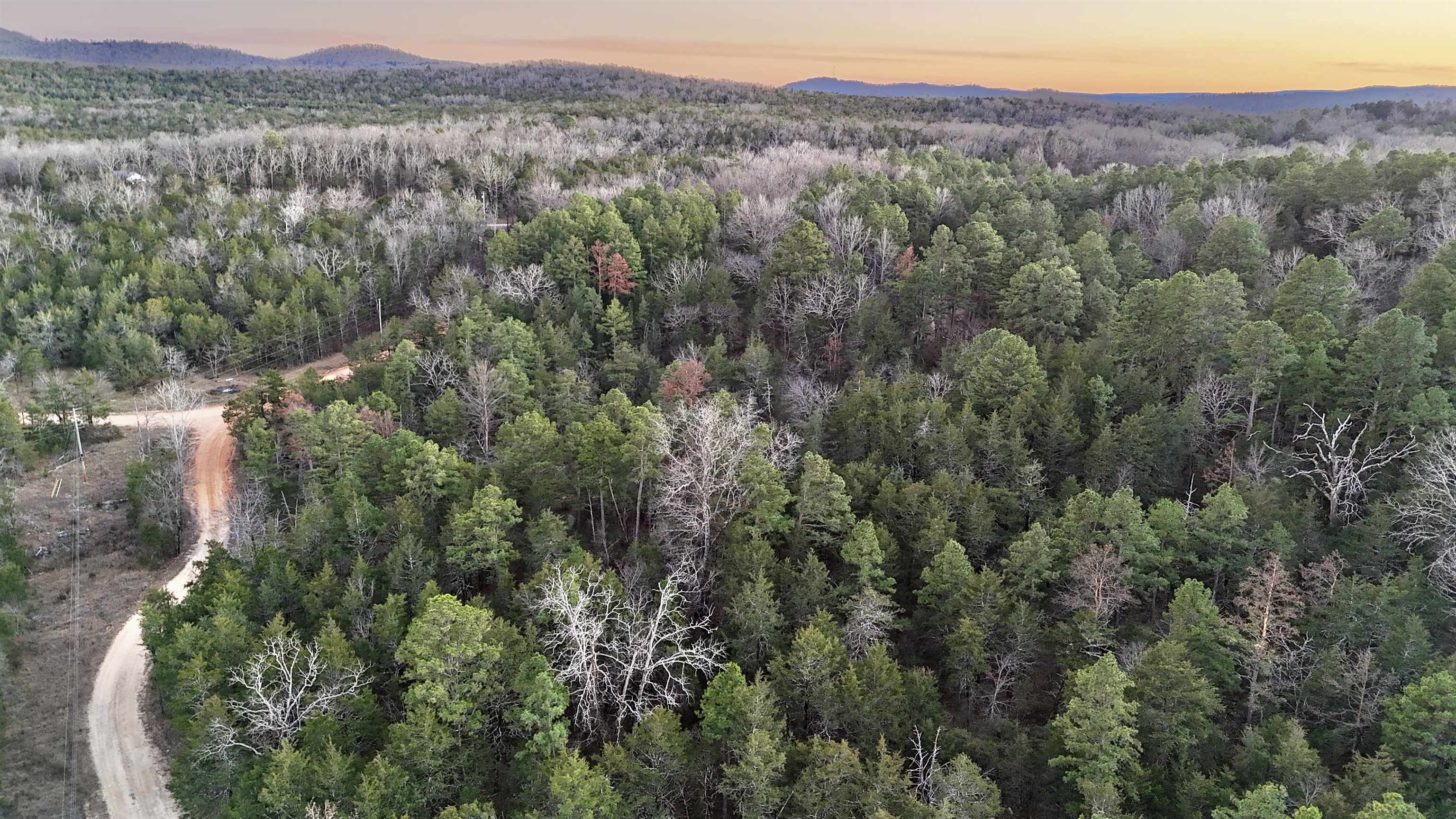 Photo 5 - Vacant Land for sale –   Ripplin Shoals Road   Melbourne, AR