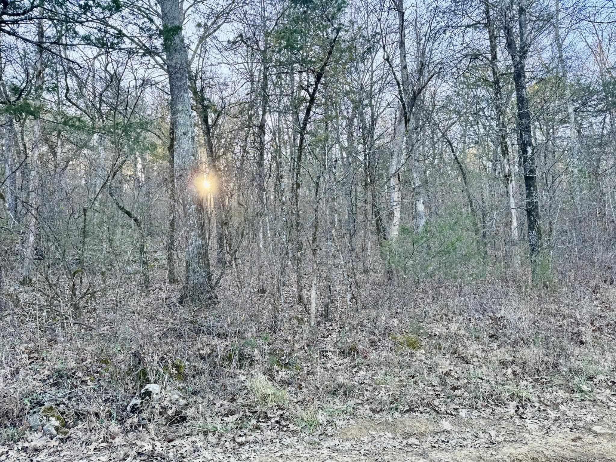 Photo 7 - Vacant Land for sale –   Ripplin Shoals Road   Melbourne, AR