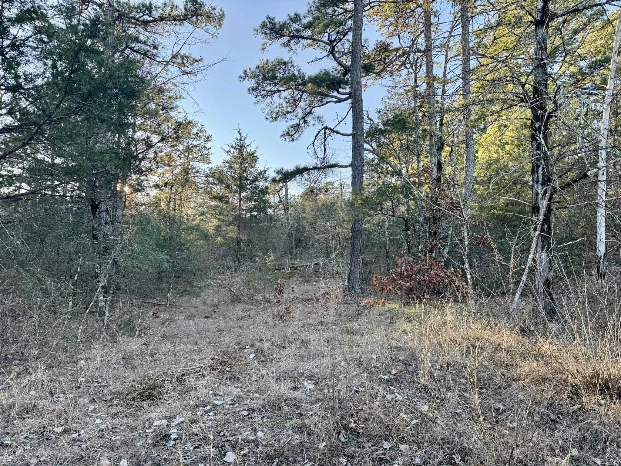 Photo 8 - Vacant Land for sale –   Ripplin Shoals Road   Melbourne, AR