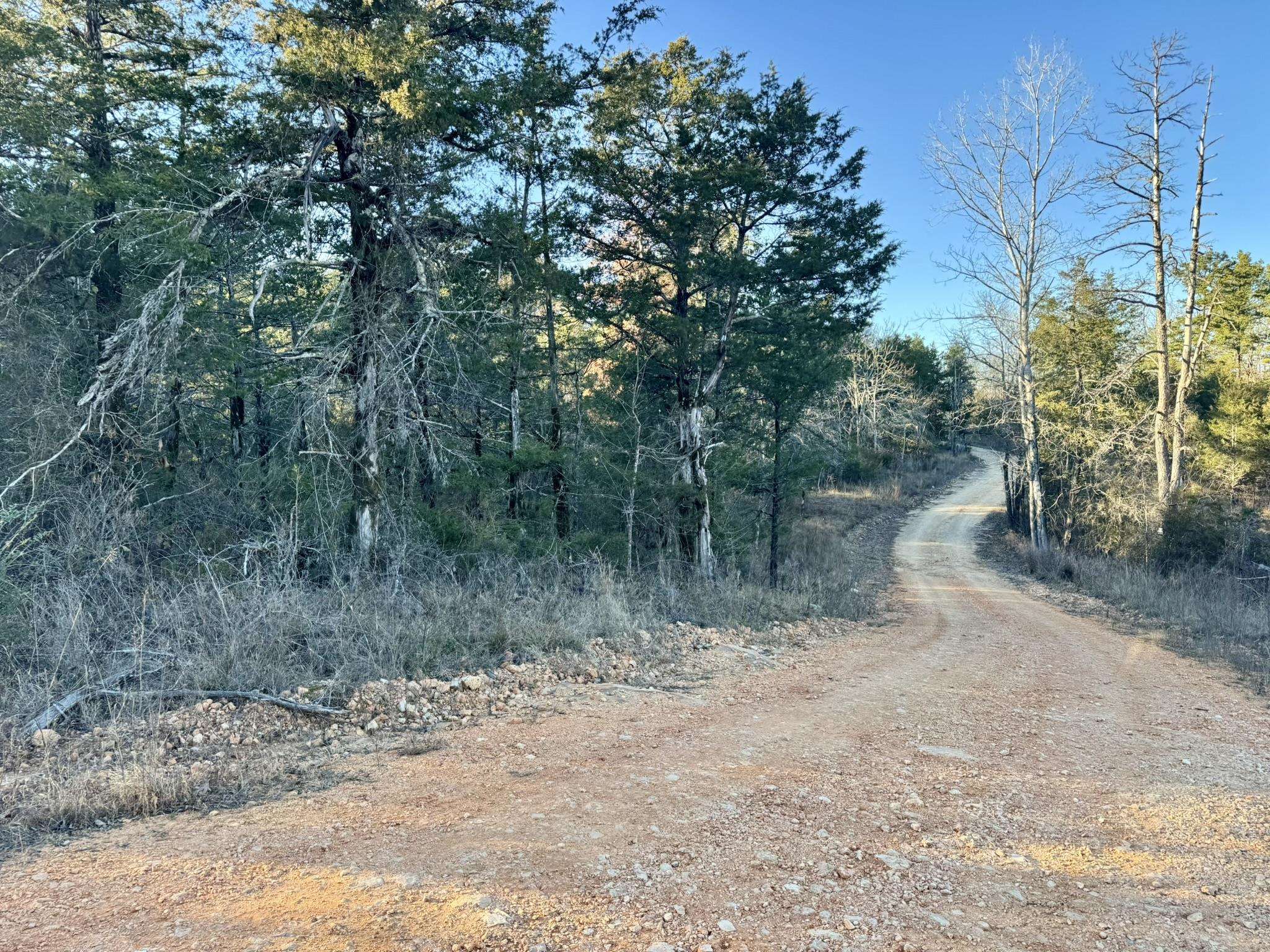 Photo 9 - Vacant Land for sale –   Ripplin Shoals Road   Melbourne, AR