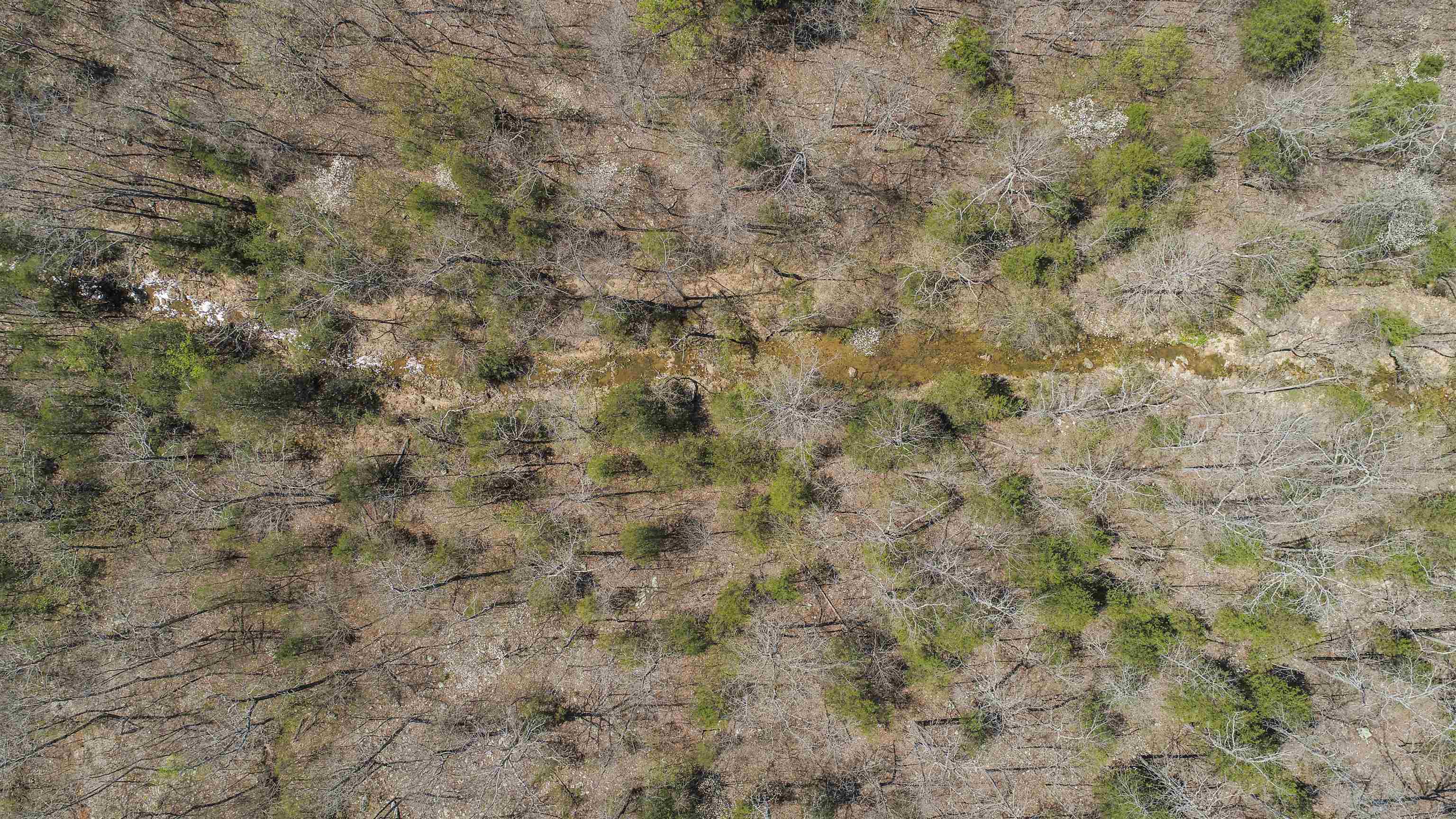 Photo 21 - Vacant Land for sale – xxx  Spring River Ranch   Williford, AR