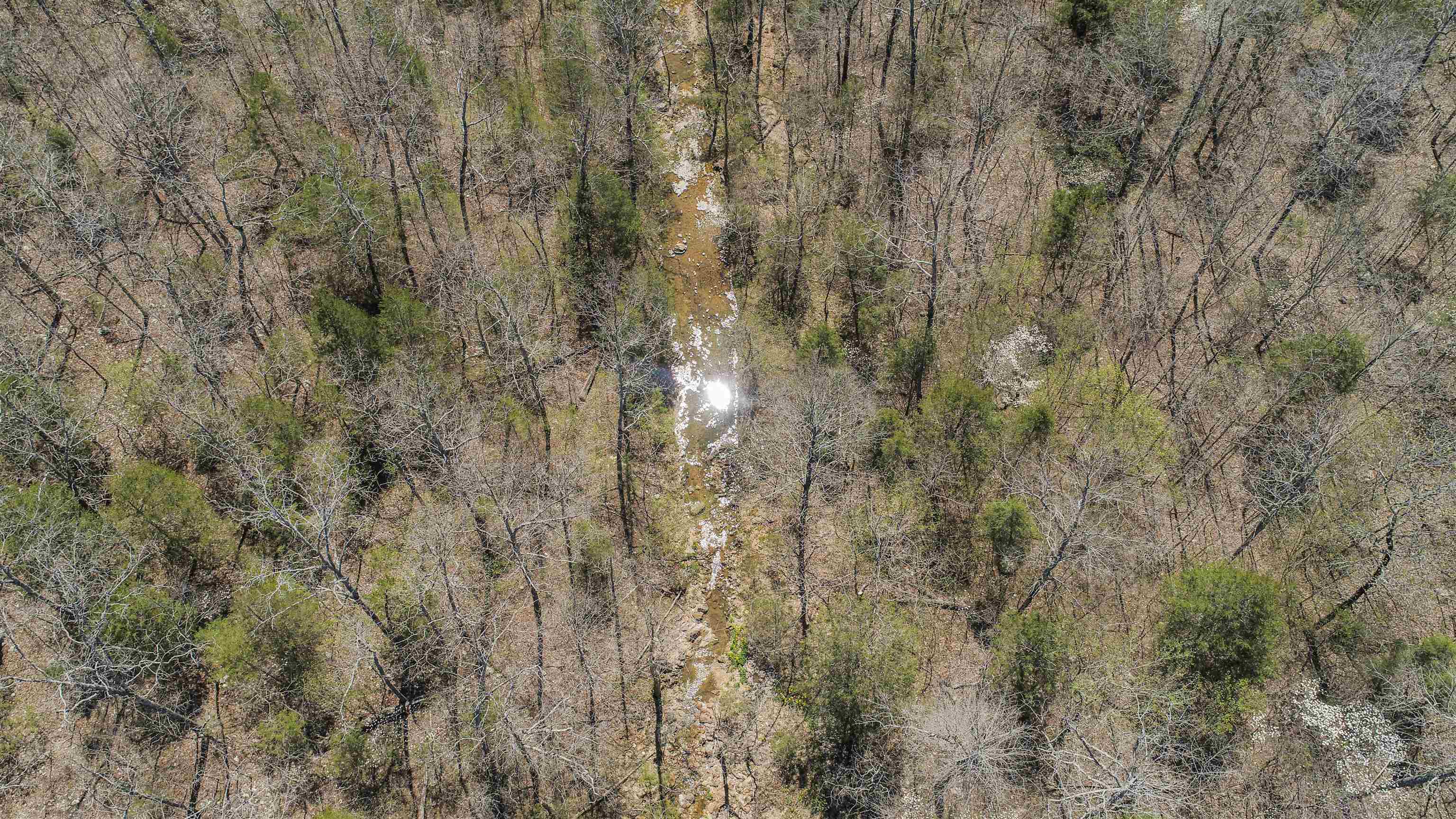 Photo 22 - Vacant Land for sale – xxx  Spring River Ranch   Williford, AR