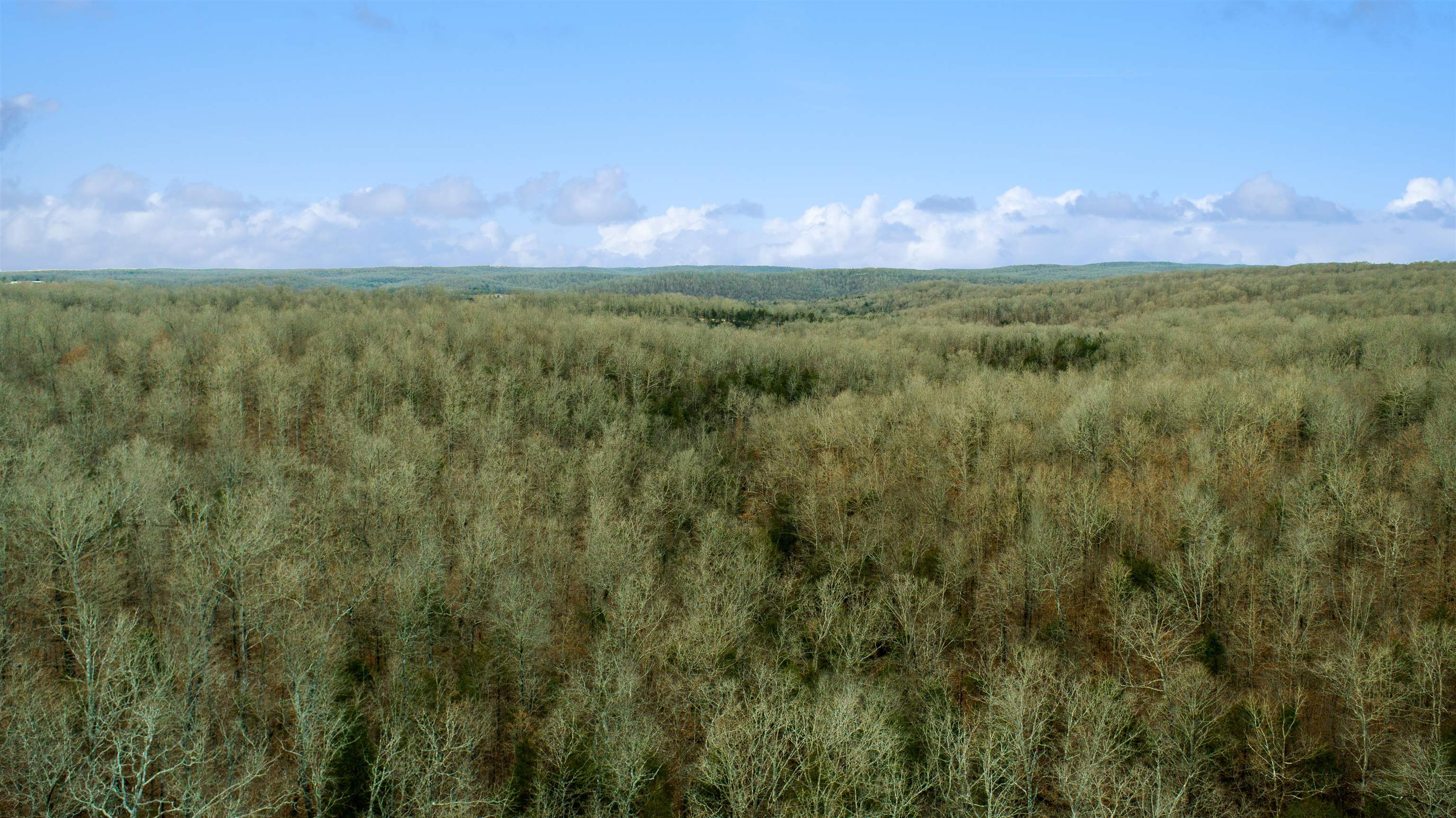 Photo 25 - Vacant Land for sale – xxx  Spring River Ranch   Williford, AR