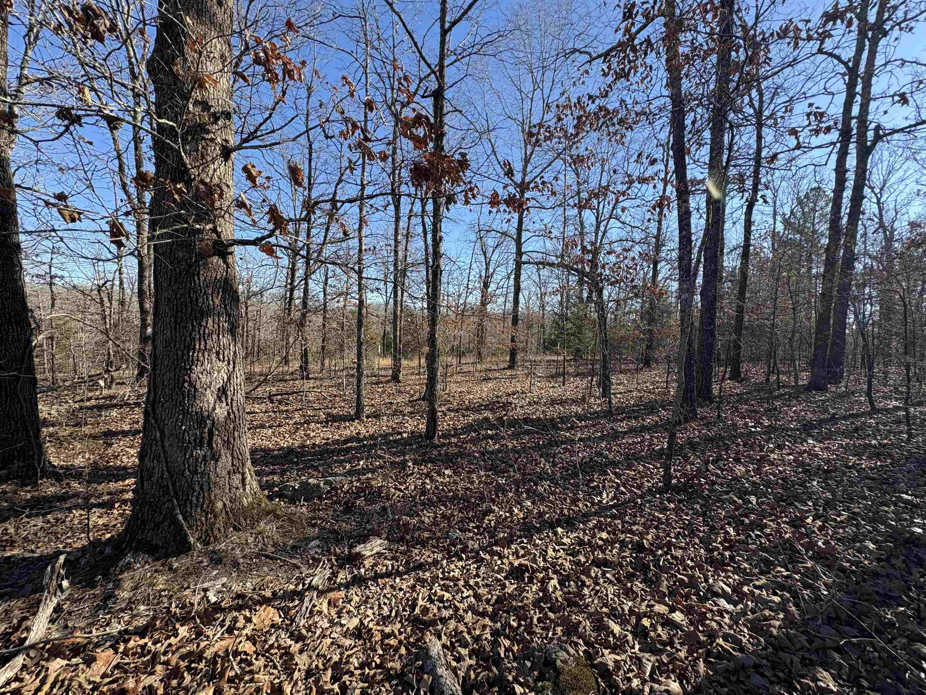 Photo 29 - Vacant Land for sale – xxx  Spring River Ranch   Williford, AR