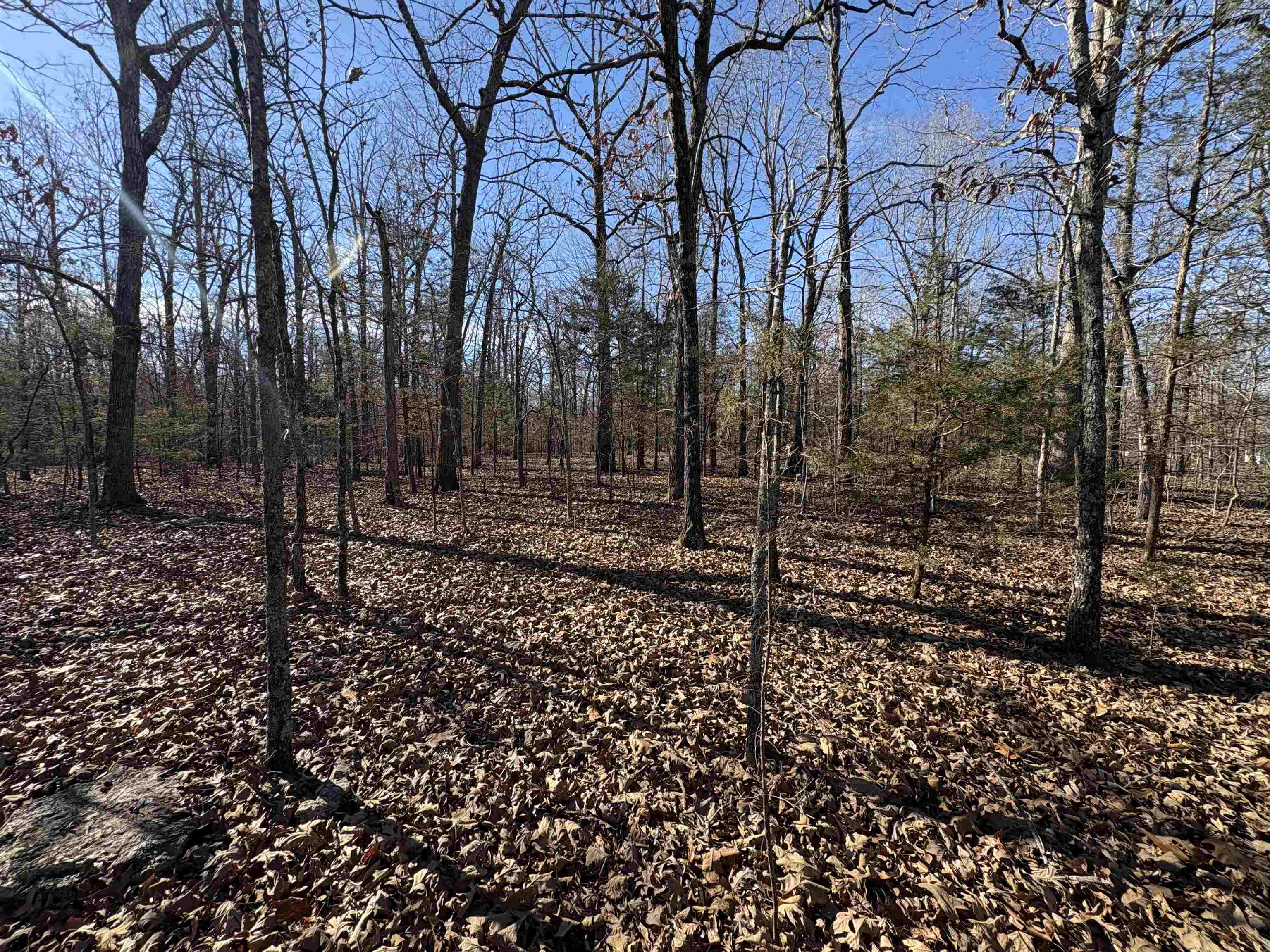 Photo 30 - Vacant Land for sale – xxx  Spring River Ranch   Williford, AR