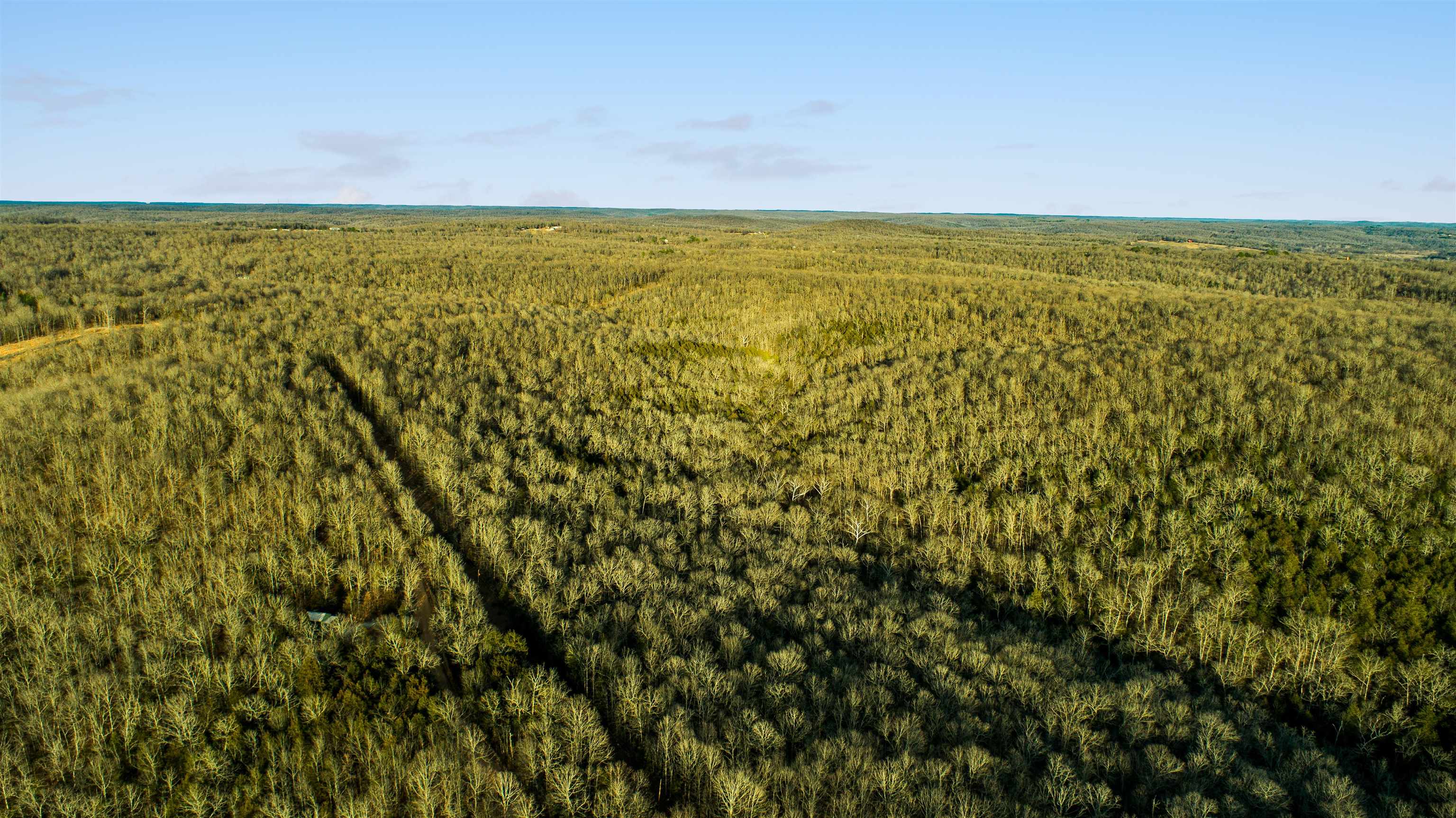 Photo 4 - Vacant Land for sale – xxx  Spring River Ranch   Williford, AR