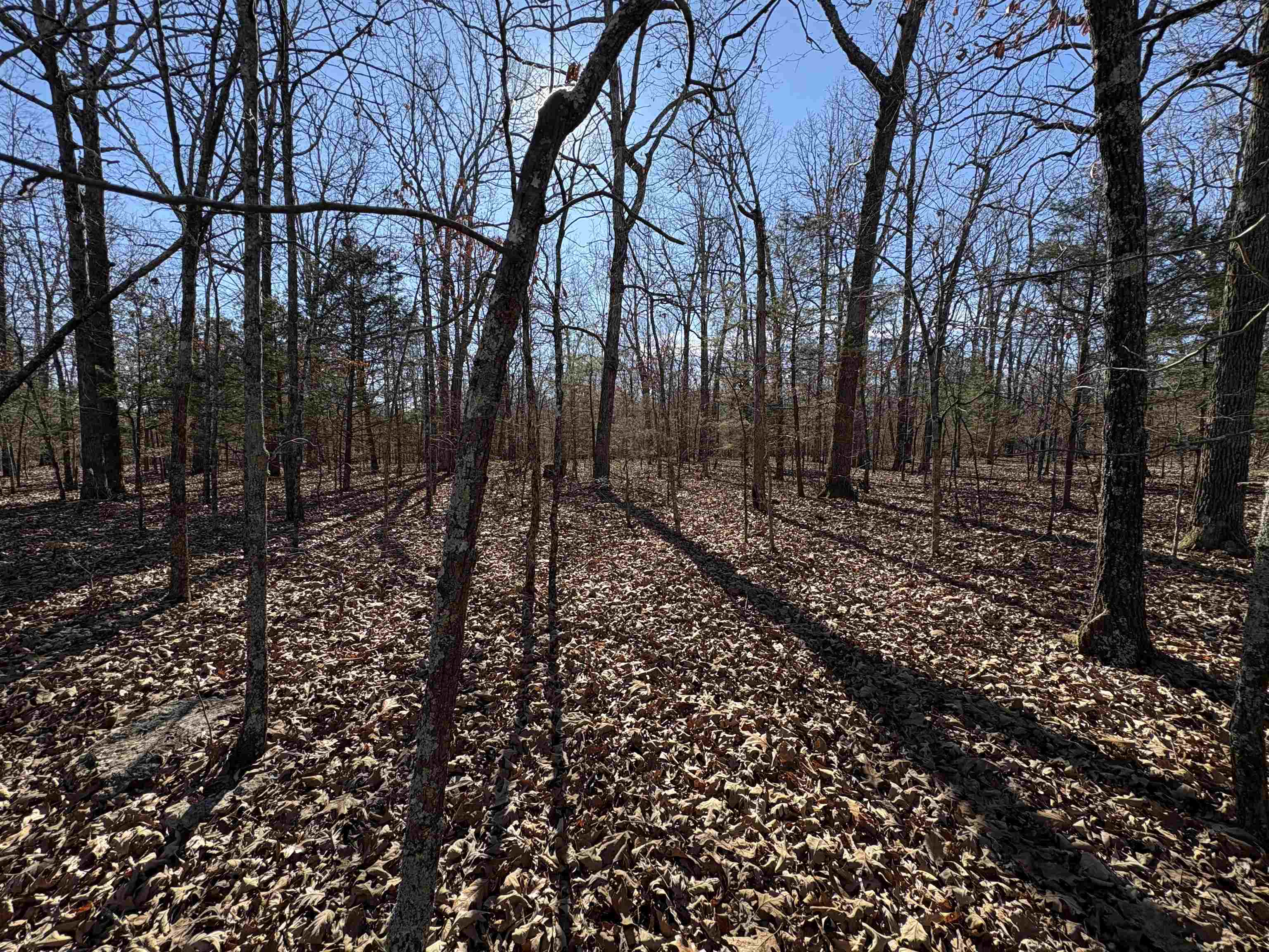 Photo 32 - Vacant Land for sale – xxx  Spring River Ranch   Williford, AR