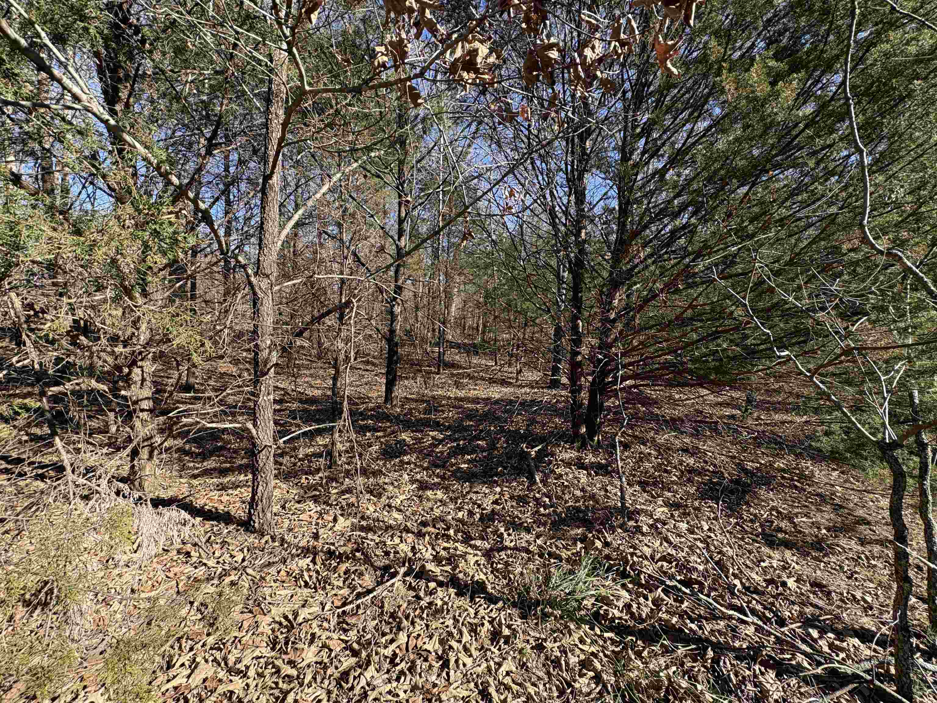 Photo 33 - Vacant Land for sale – xxx  Spring River Ranch   Williford, AR