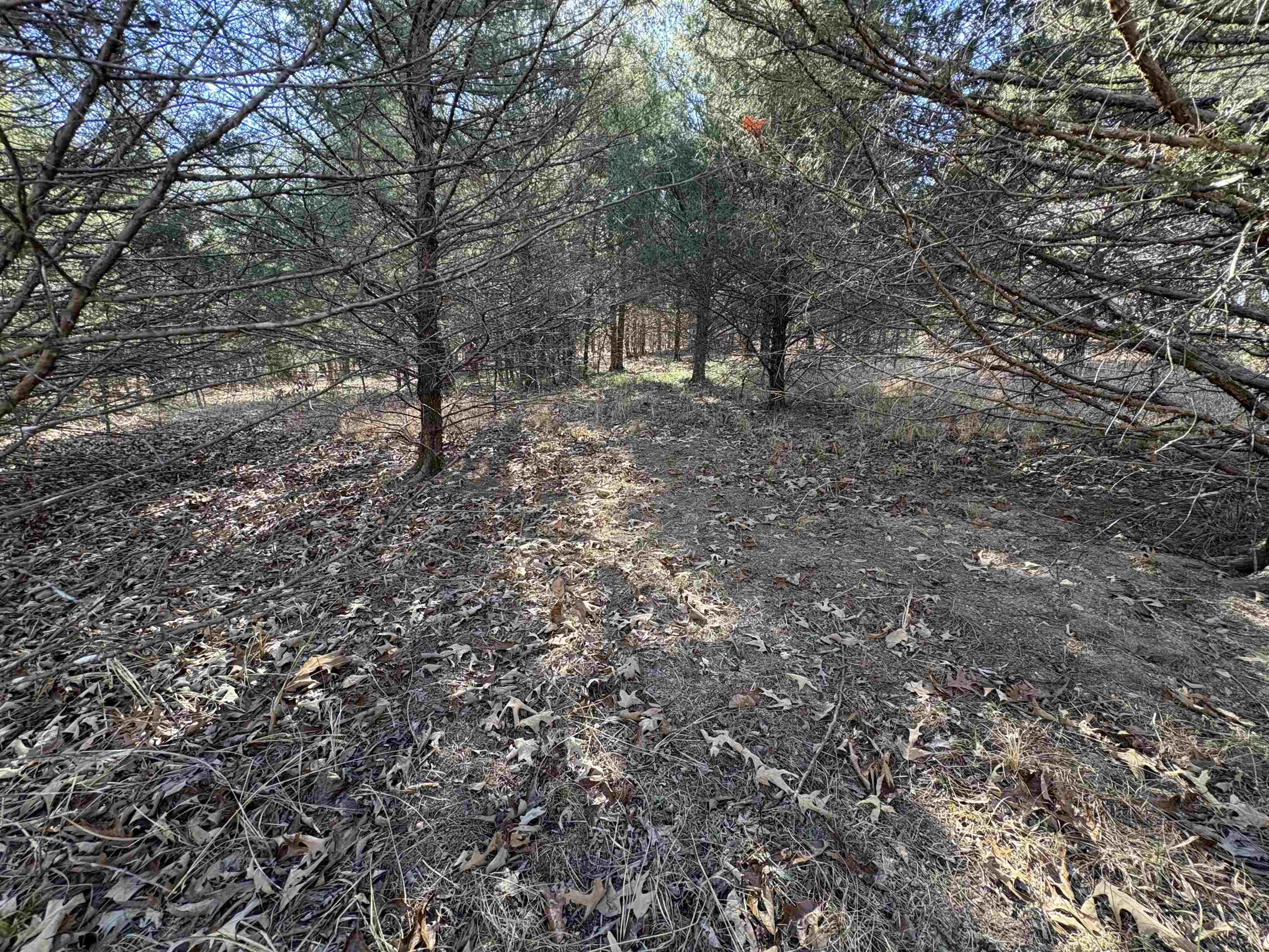 Photo 35 - Vacant Land for sale – xxx  Spring River Ranch   Williford, AR