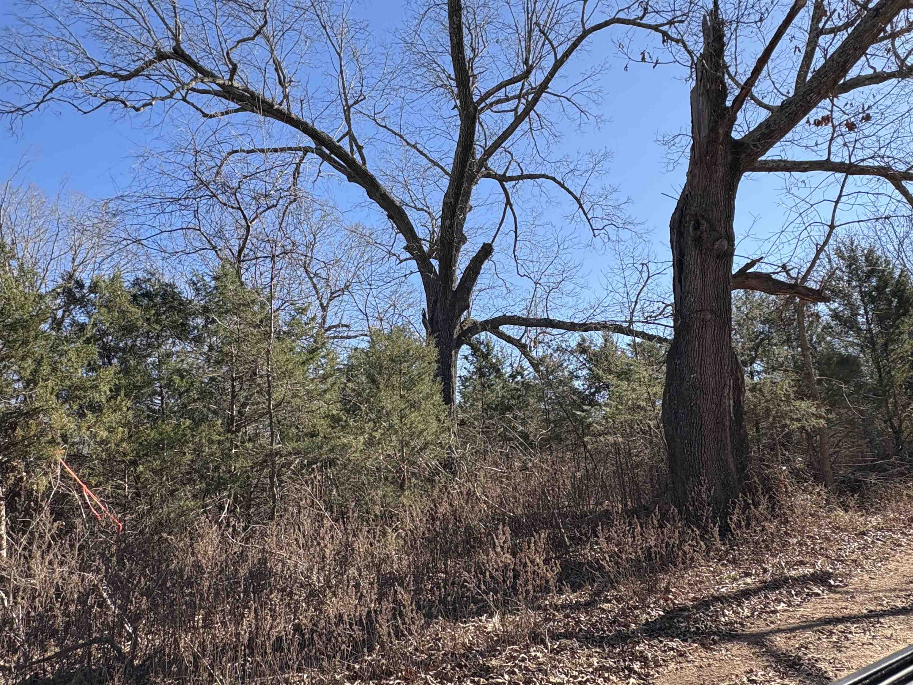 Photo 36 - Vacant Land for sale – xxx  Spring River Ranch   Williford, AR