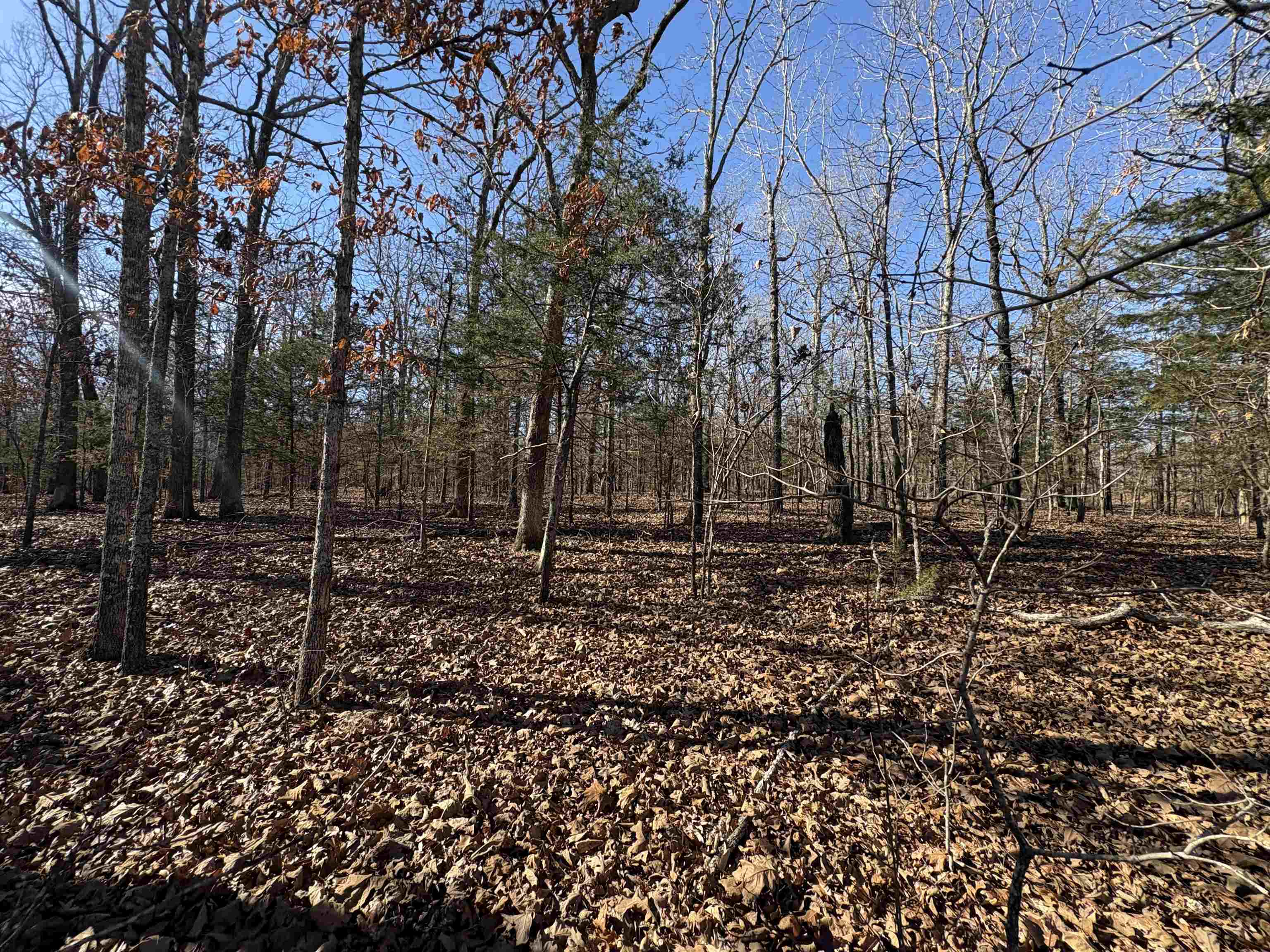 Photo 37 - Vacant Land for sale – xxx  Spring River Ranch   Williford, AR