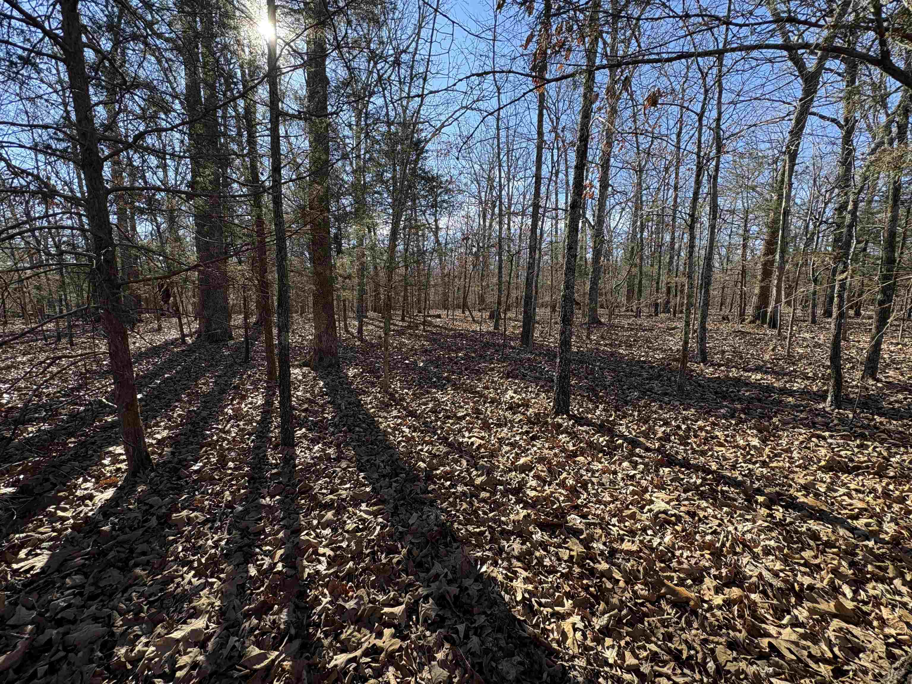 Photo 38 - Vacant Land for sale – xxx  Spring River Ranch   Williford, AR