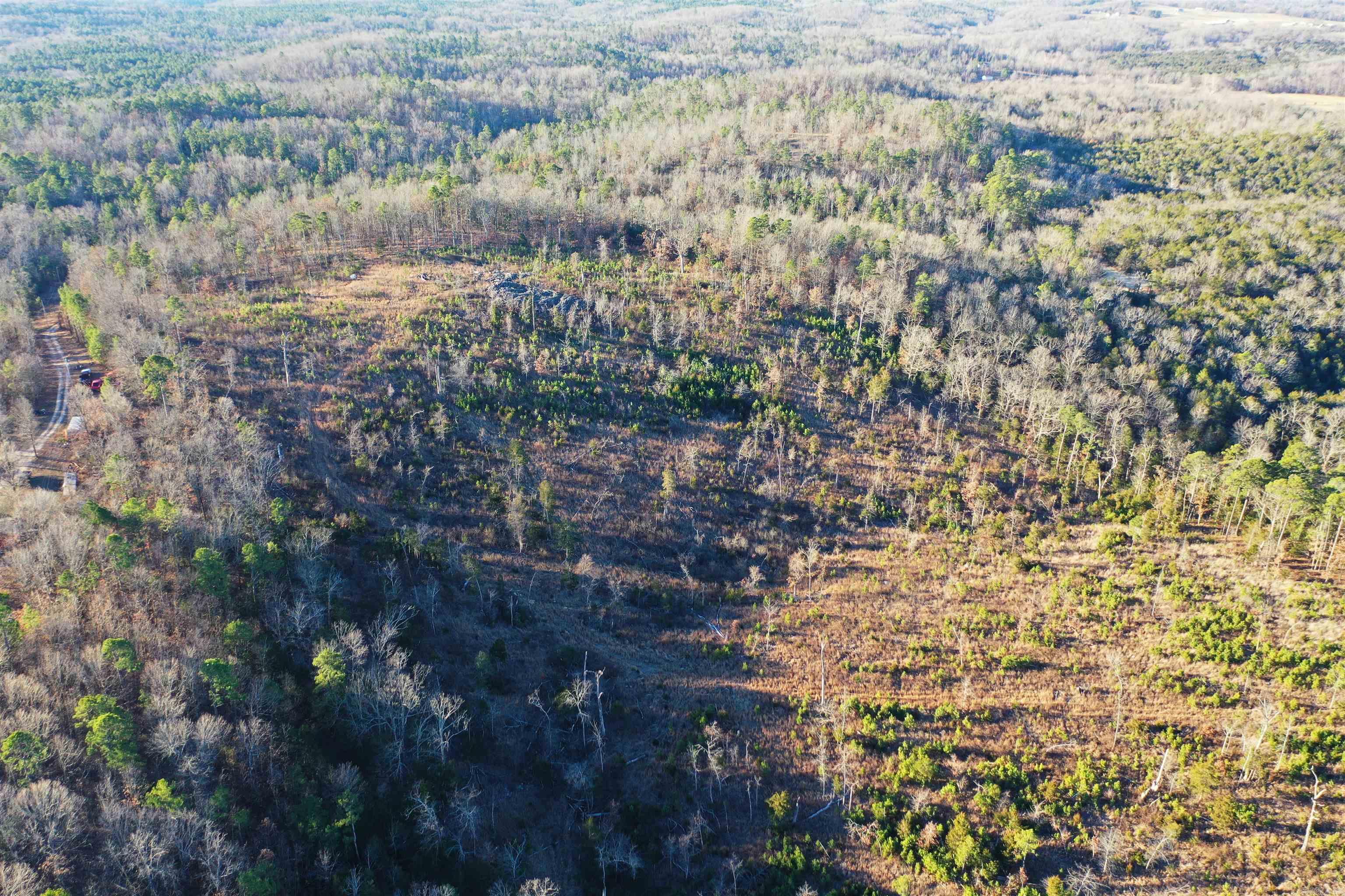 Photo 3 - Vacant Land for sale – 001-08537-000  McGenes Creek Road   Bexar, AR