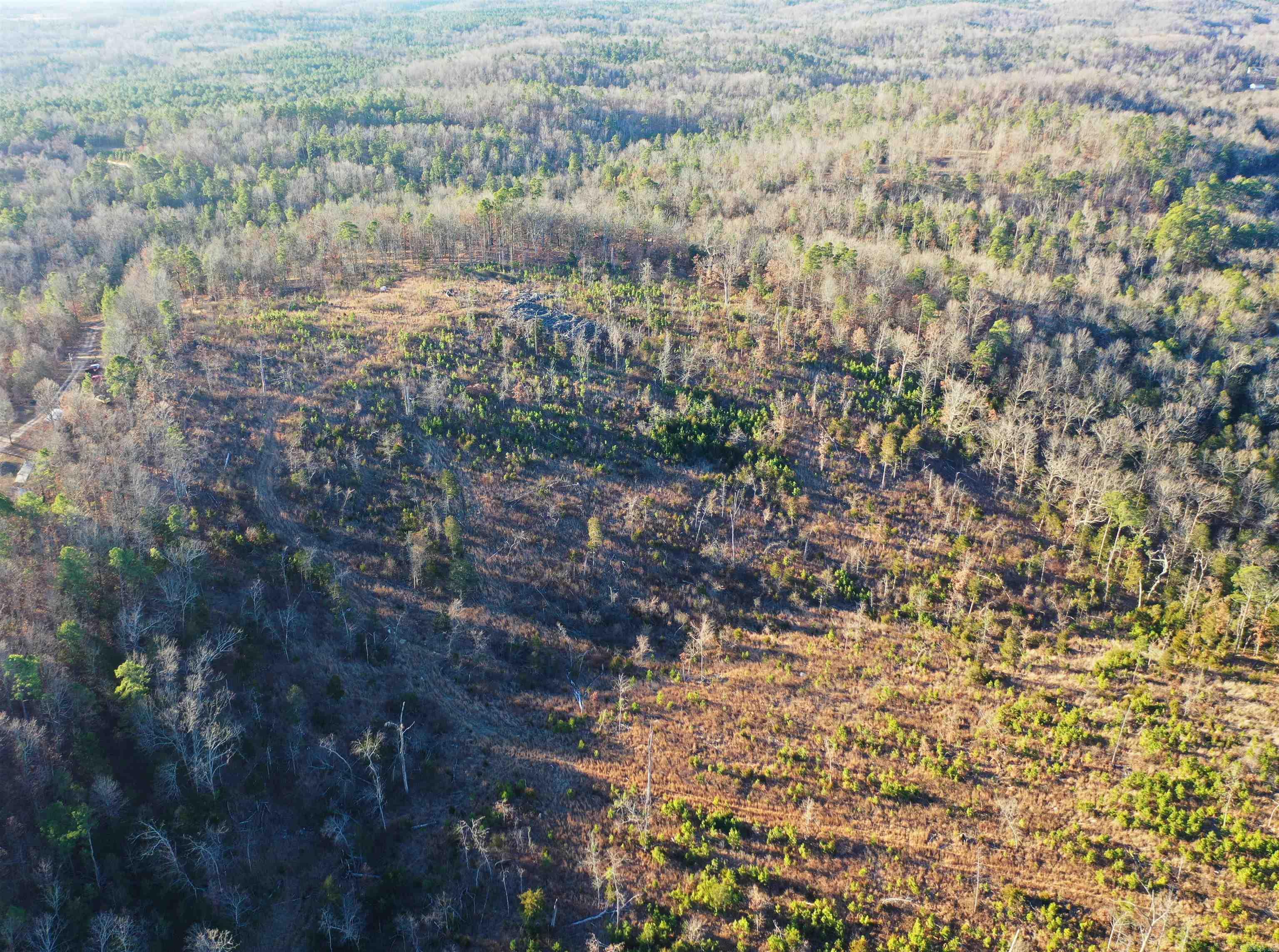 Photo 4 - Vacant Land for sale – 001-08537-000  McGenes Creek Road   Bexar, AR