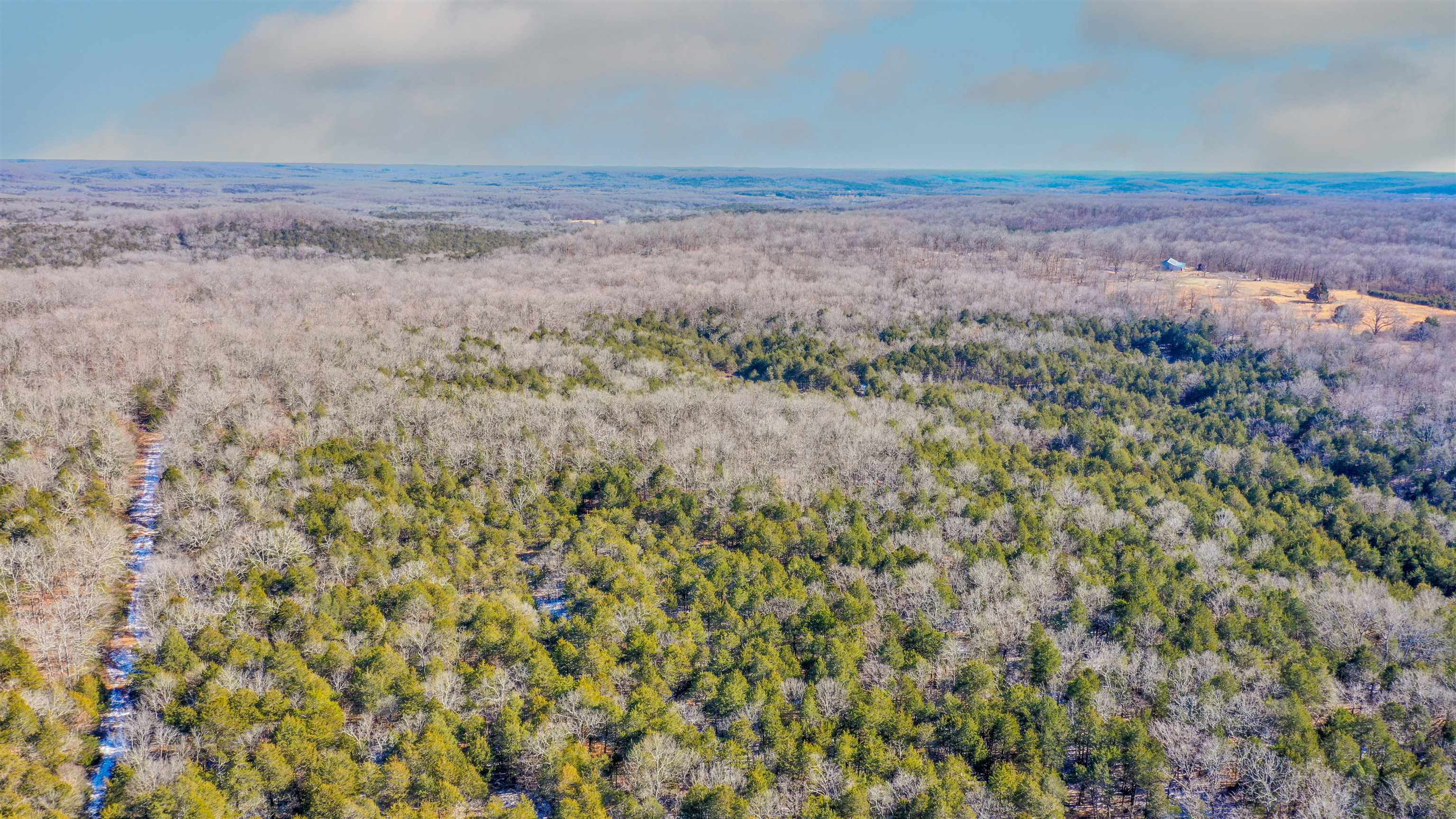 Photo 2 - Vacant Land for sale – Lot 21  Fawn Ridge   Williford, AR