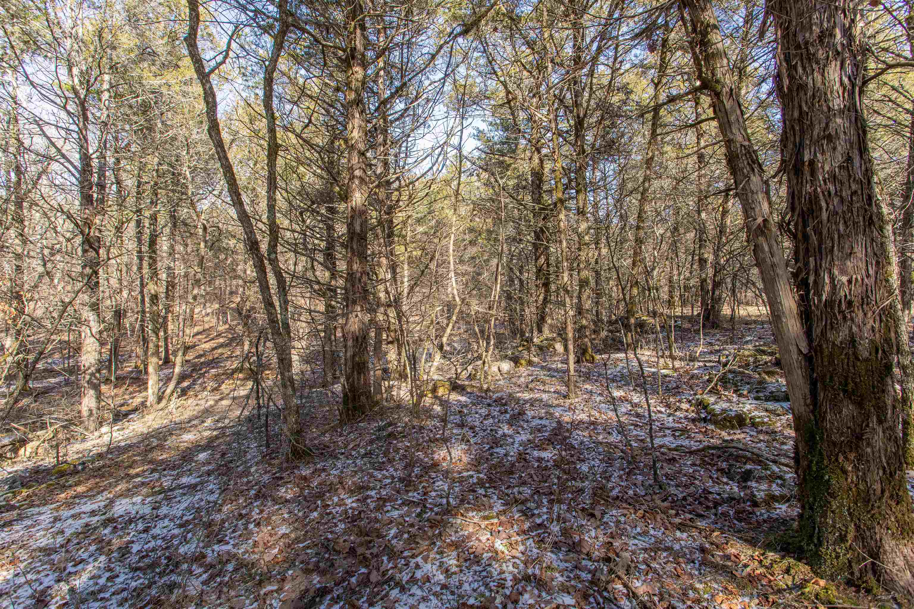 Photo 4 - Vacant Land for sale – Lot 21  Fawn Ridge   Williford, AR