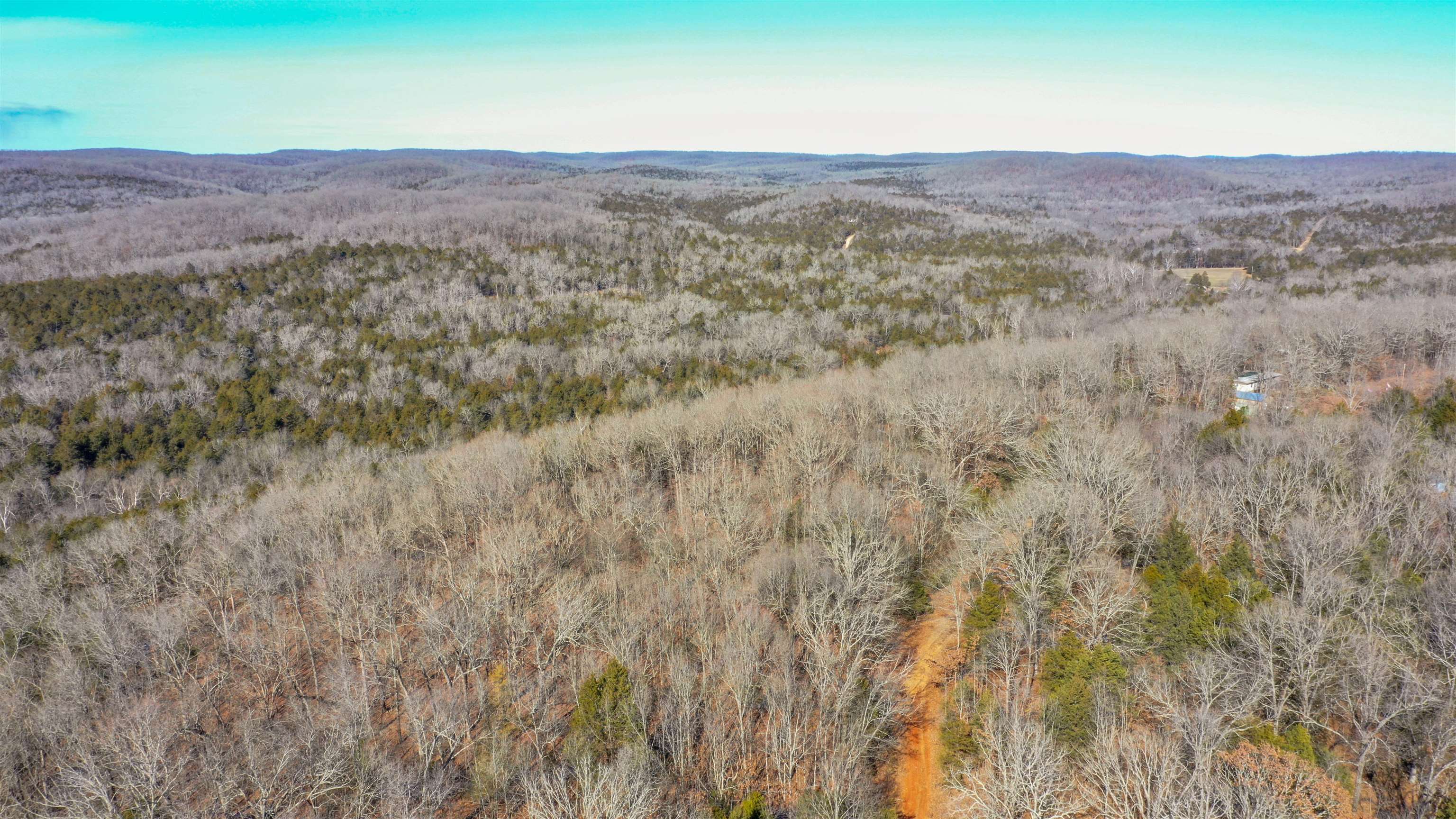 Photo 8 - Vacant Land for sale – Lot 73  Big Buck   Williford, AR