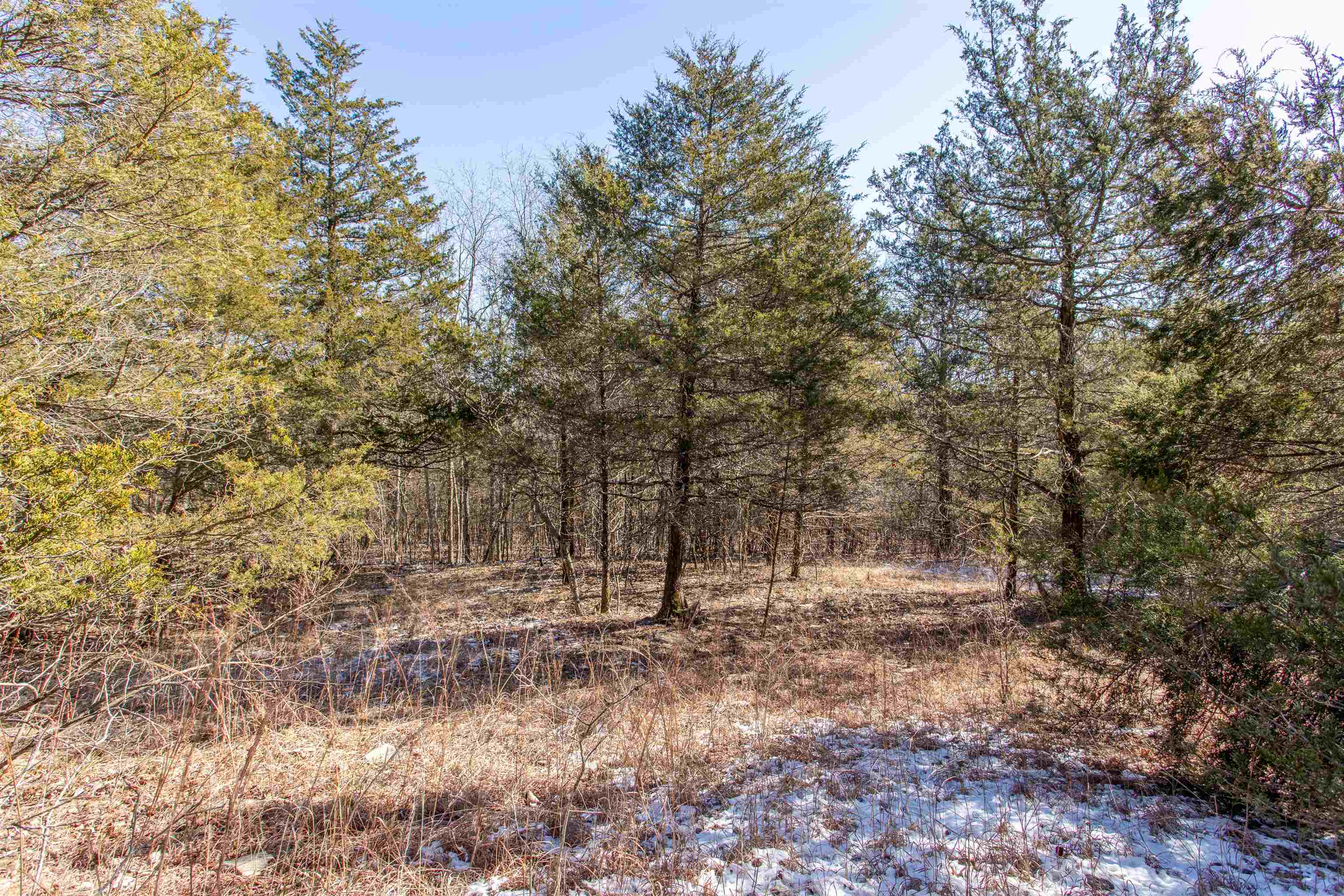 Photo 9 - Vacant Land for sale – Lot 73  Big Buck   Williford, AR