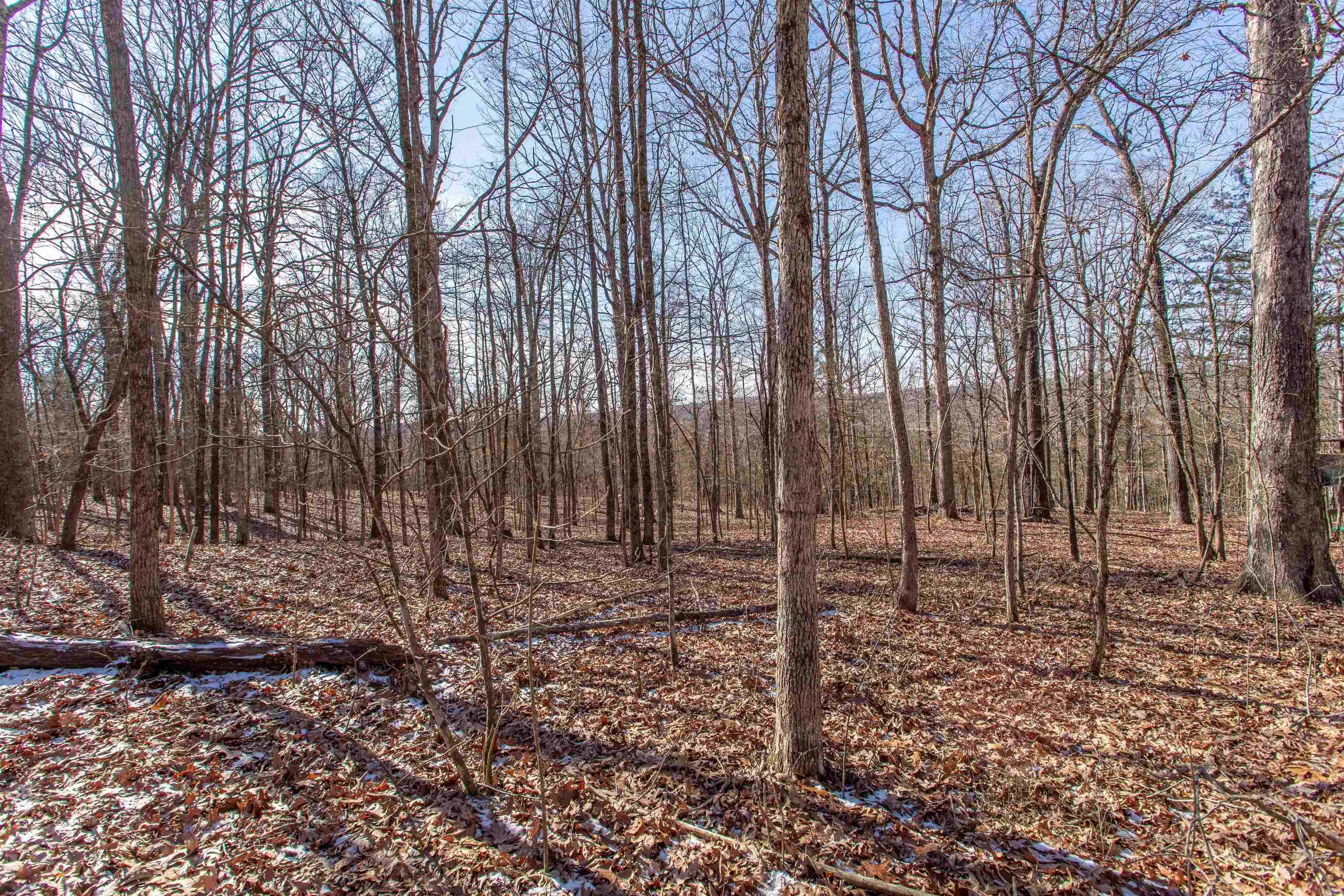 Photo 3 - Vacant Land for sale – Lot 64  Big Buck   Williford, AR
