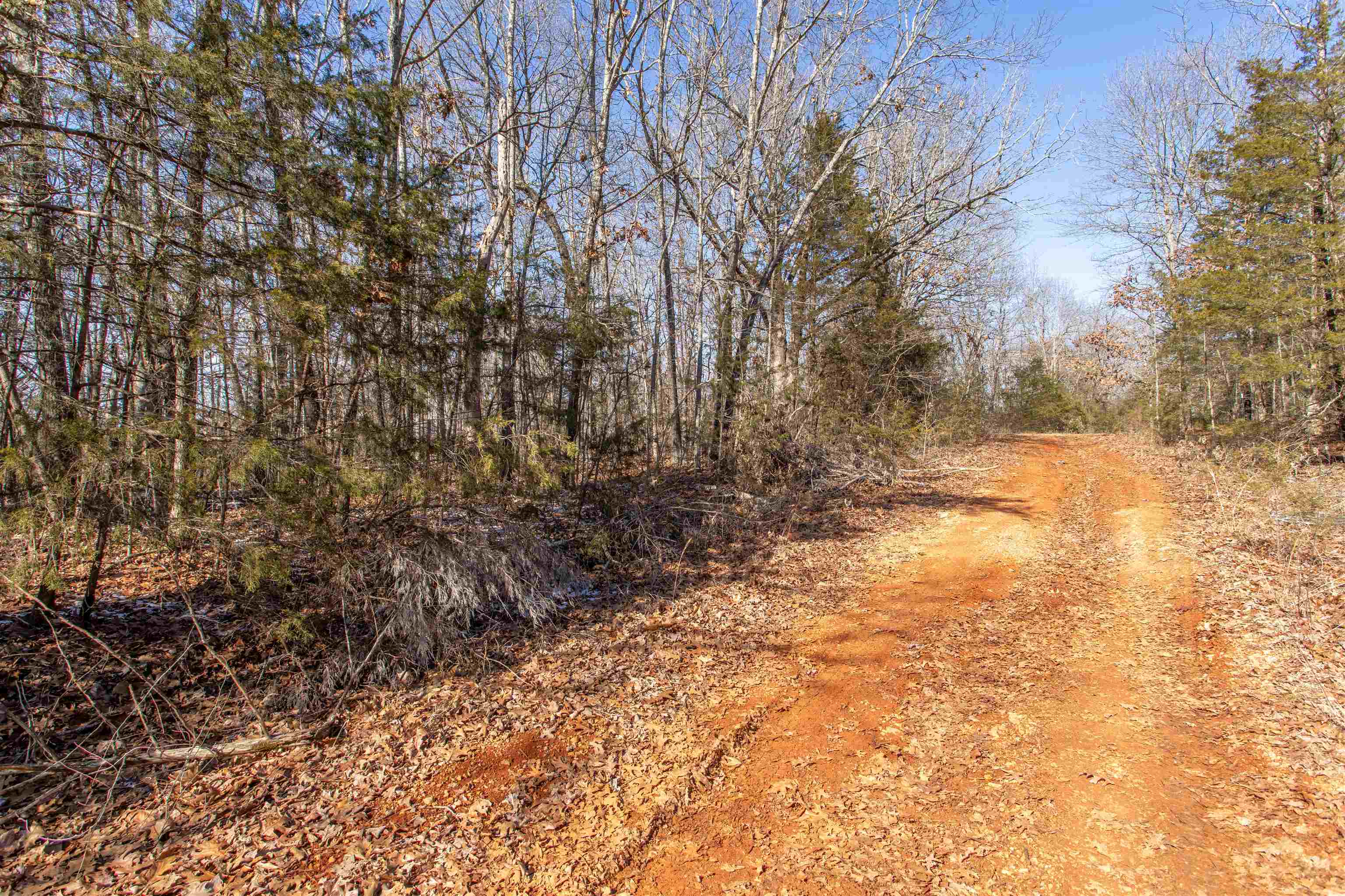 Photo 6 - Vacant Land for sale – Lot 64  Big Buck   Williford, AR