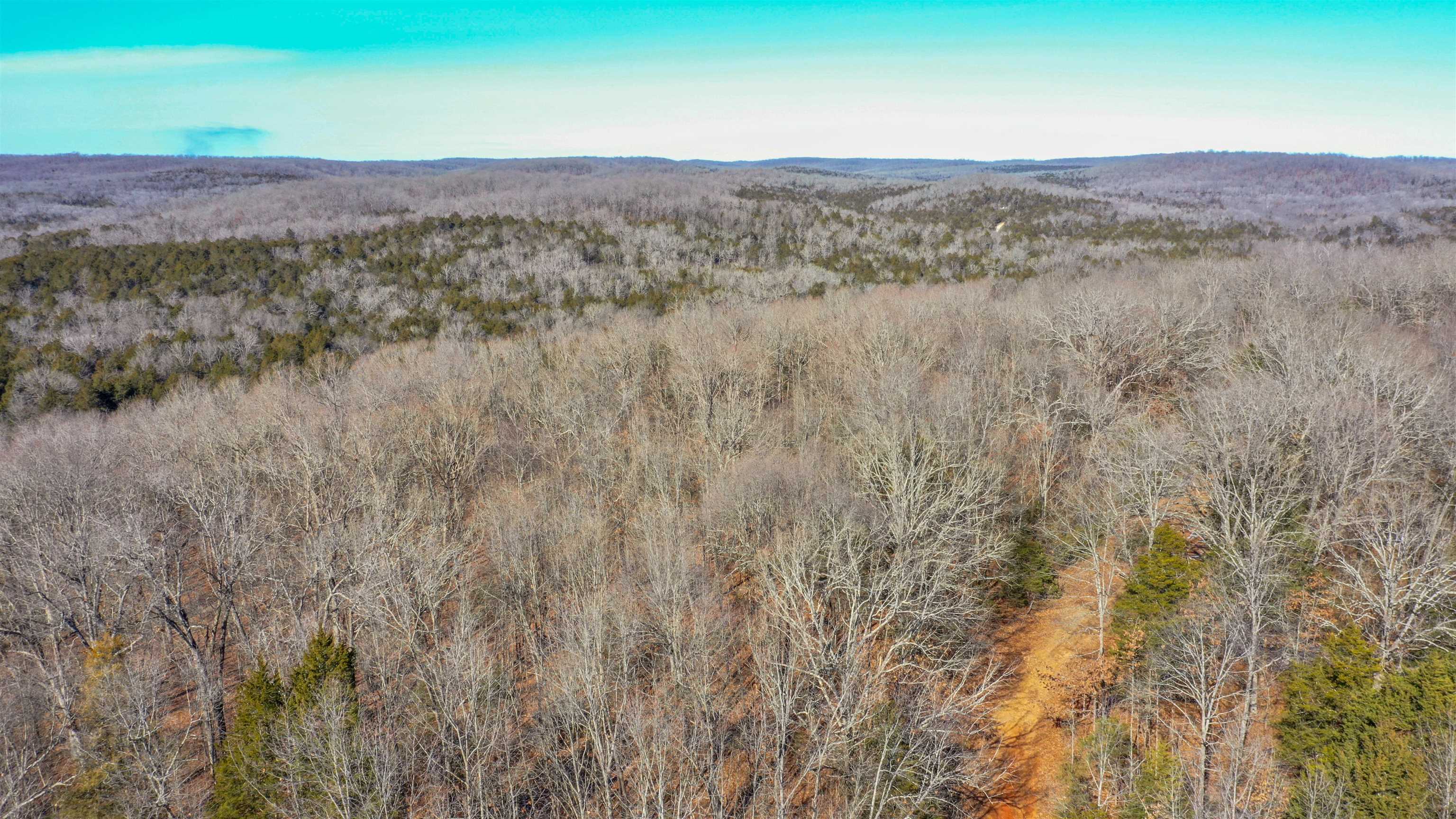 Photo 7 - Vacant Land for sale – Lot 64  Big Buck   Williford, AR