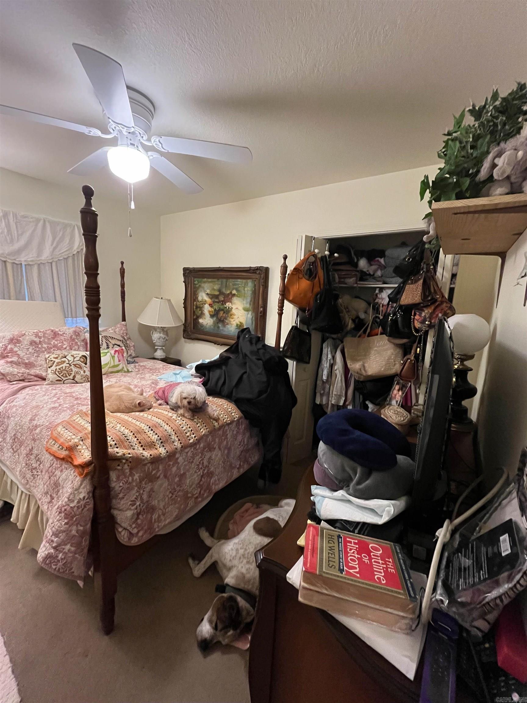 Photo 20 - Residential for sale – 460  Bethel   Mammoth Spring, AR