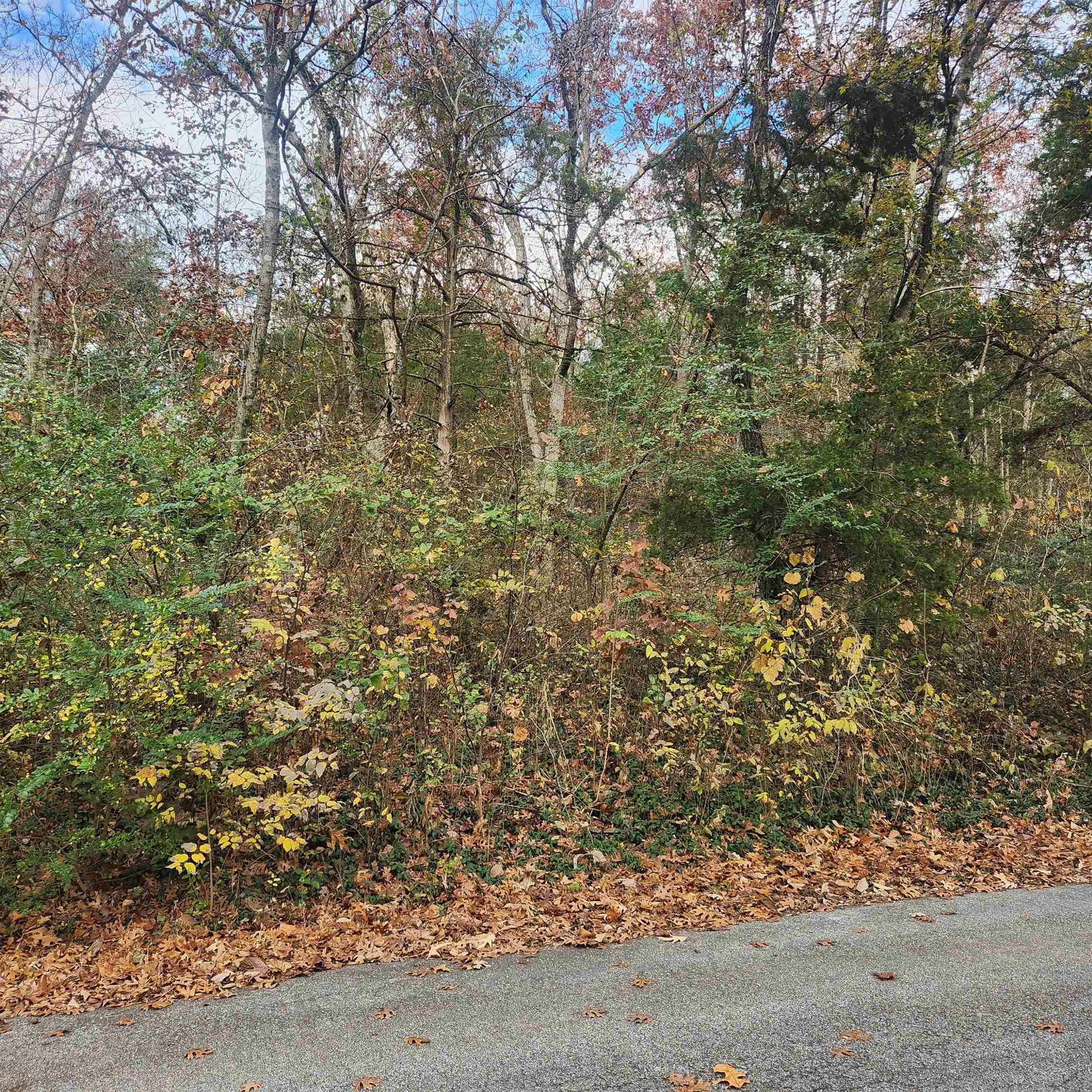 Photo 5 - Vacant Land for sale – L-17, B-2 W Lakeshore   Cherokee Village, AR