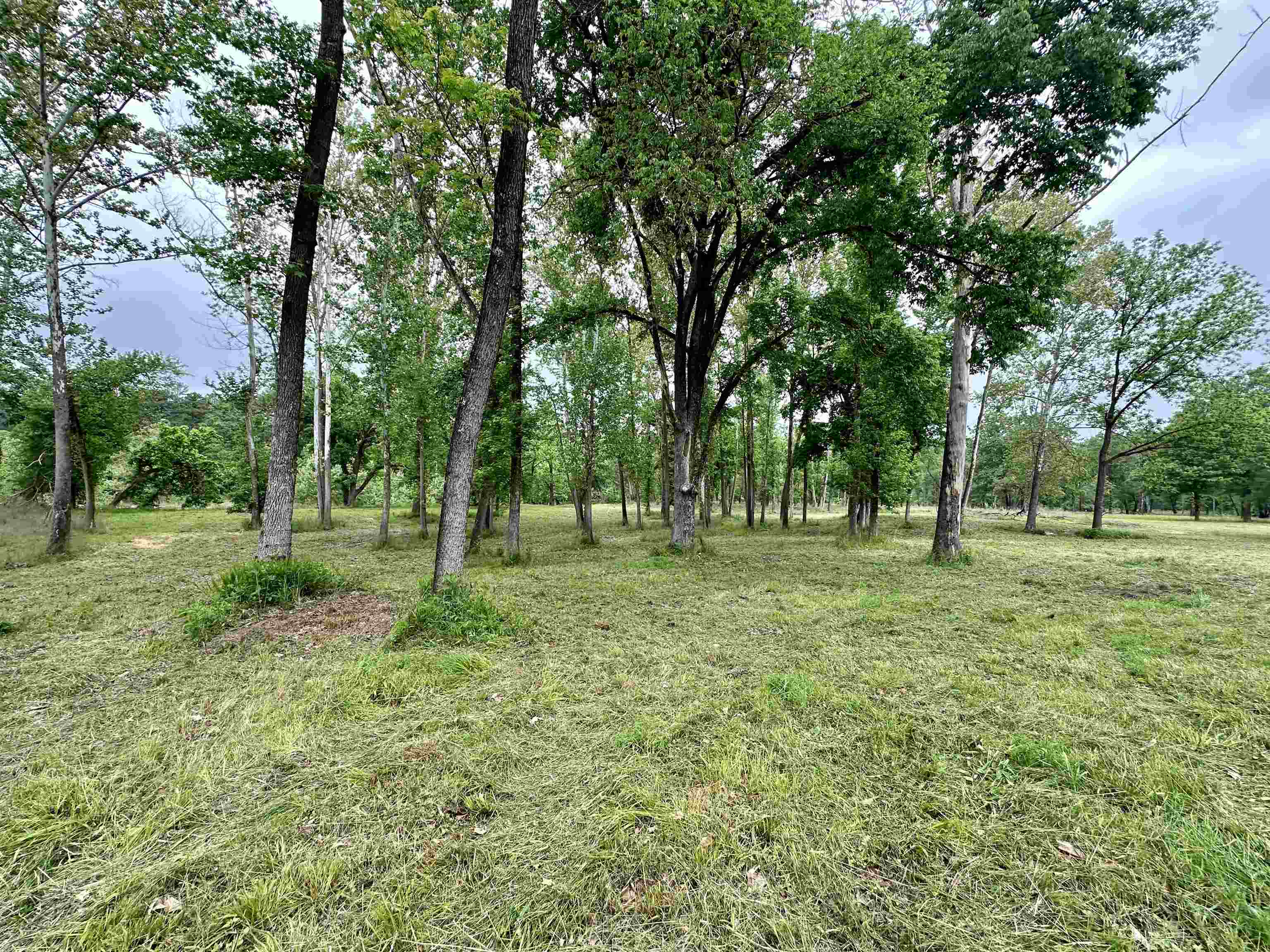 Photo 12 - Vacant Land for sale – Lot 7 & 8  Apple Tree Lane   Melbourne, AR