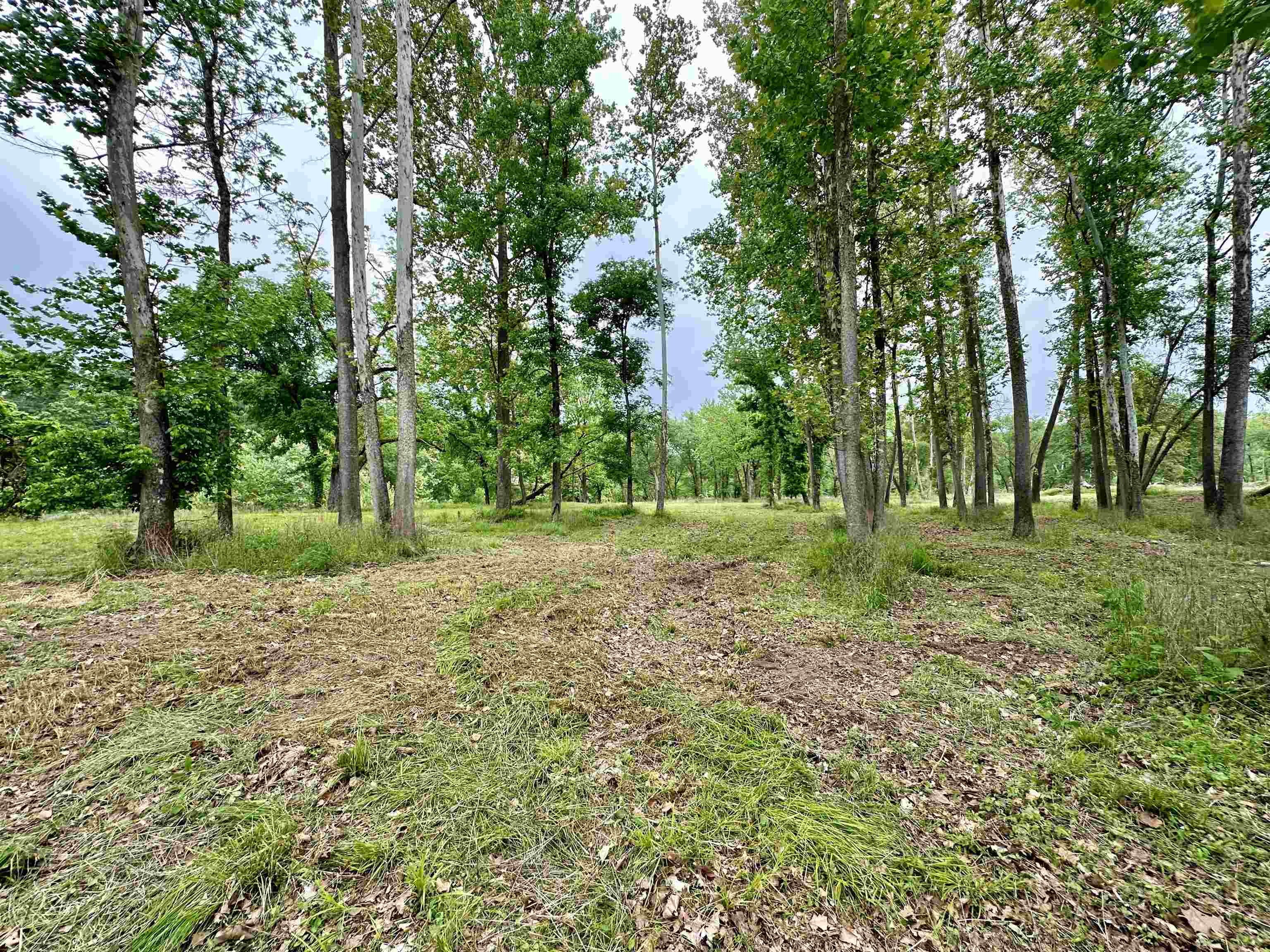 Photo 13 - Vacant Land for sale – Lot 7 & 8  Apple Tree Lane   Melbourne, AR