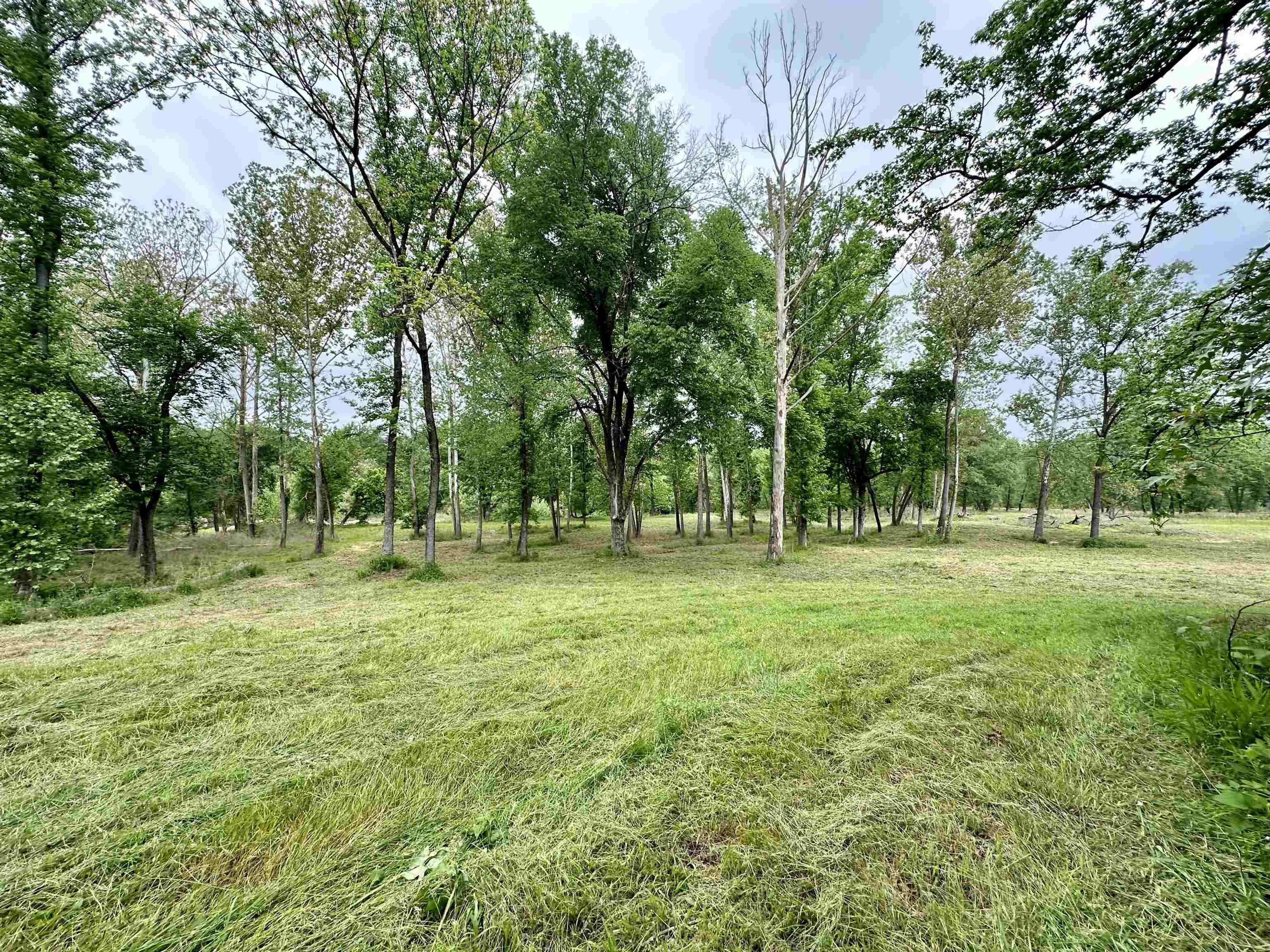 Photo 14 - Vacant Land for sale – Lot 7 & 8  Apple Tree Lane   Melbourne, AR