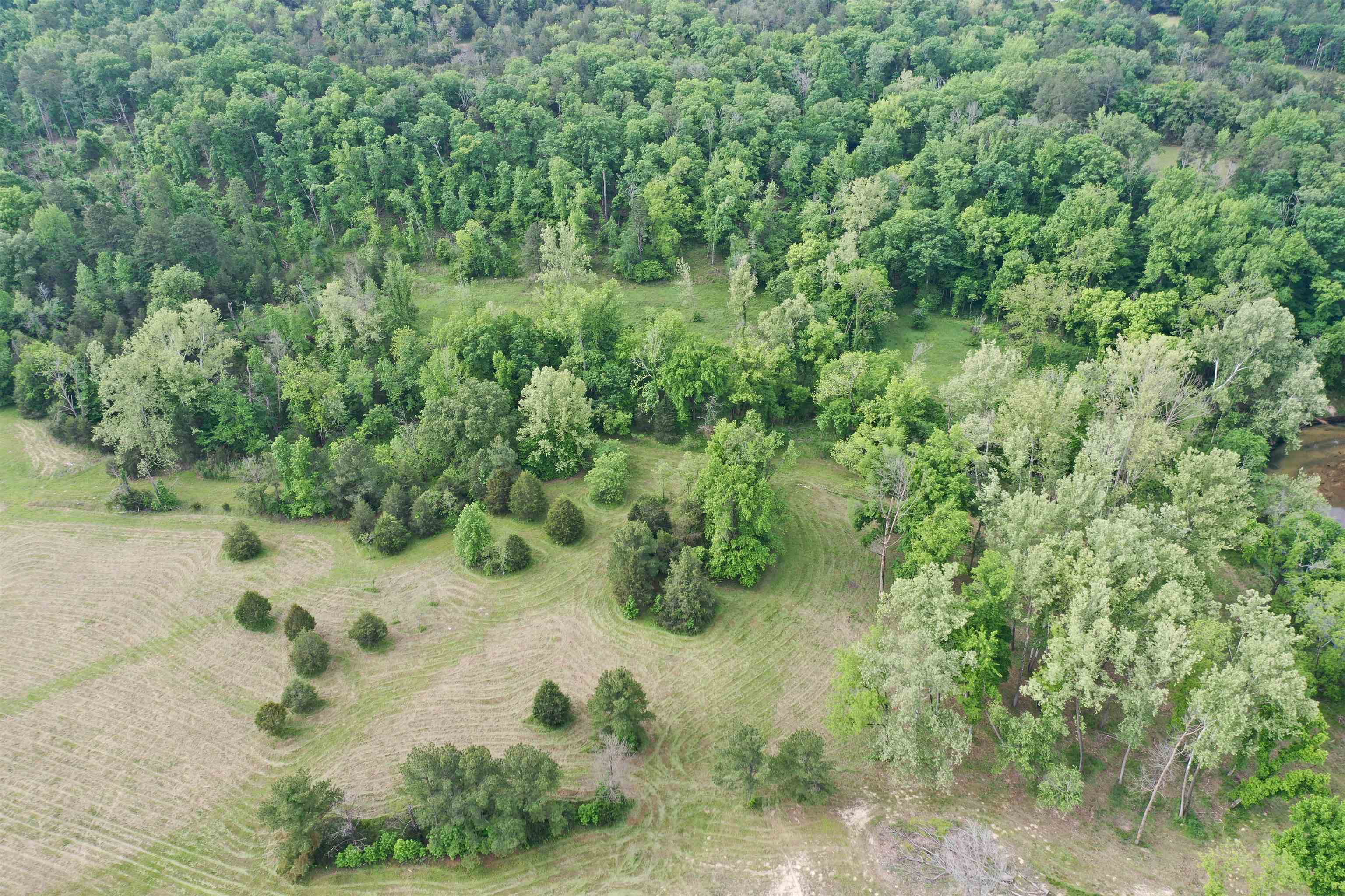 Photo 15 - Vacant Land for sale – Lot 7 & 8  Apple Tree Lane   Melbourne, AR