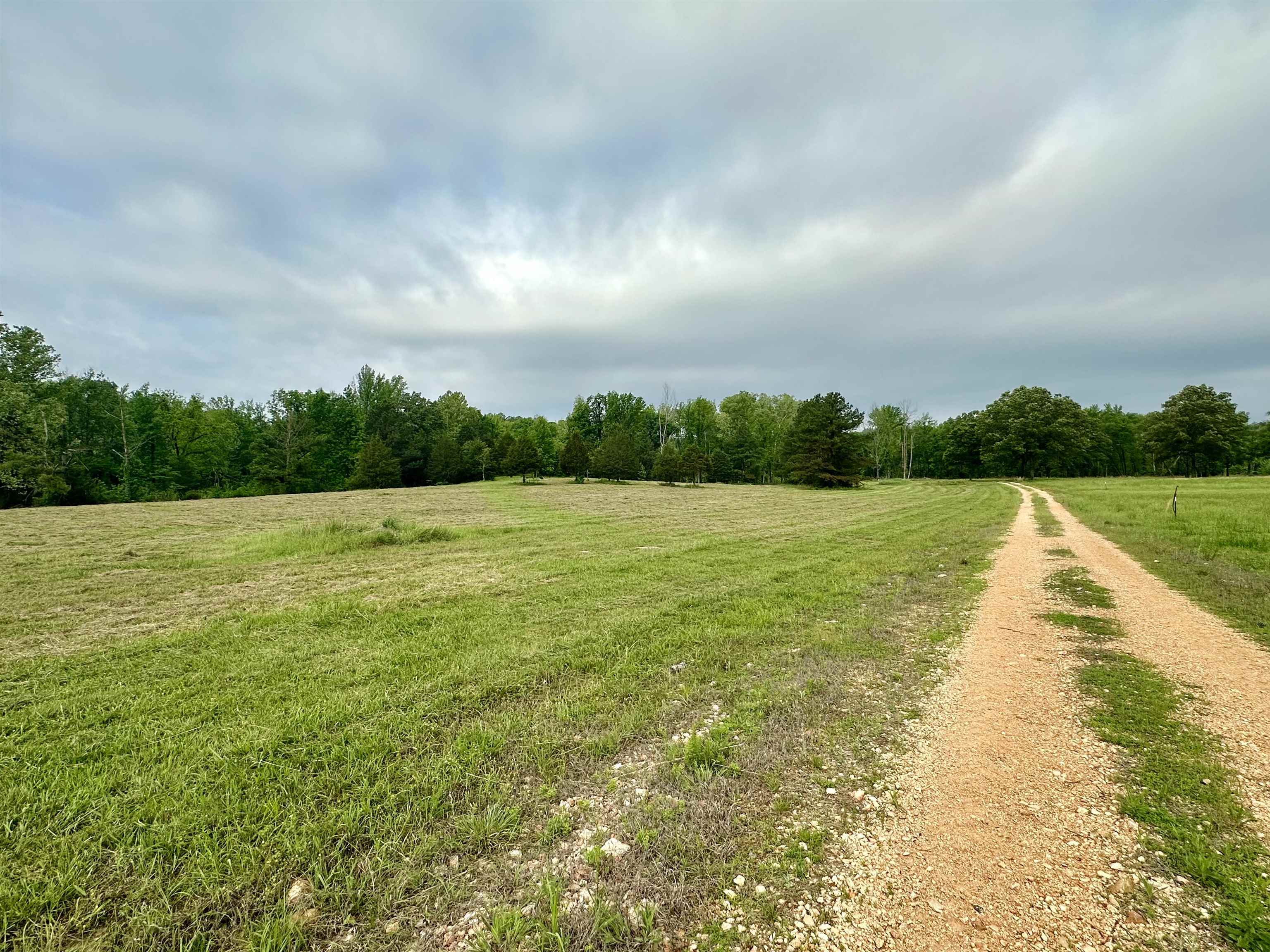 Photo 16 - Vacant Land for sale – Lot 7 & 8  Apple Tree Lane   Melbourne, AR