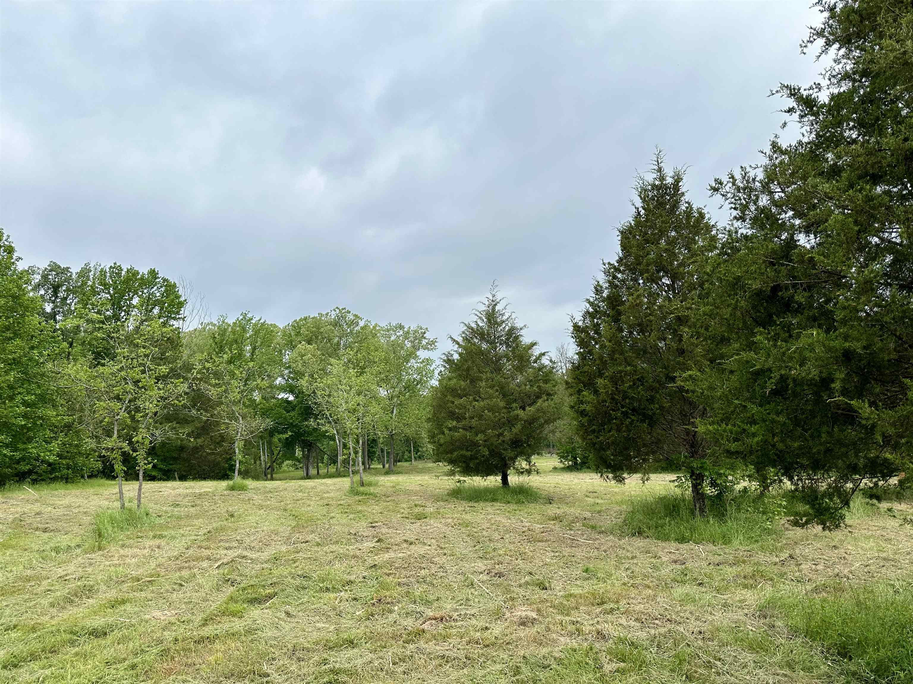 Photo 17 - Vacant Land for sale – Lot 7 & 8  Apple Tree Lane   Melbourne, AR