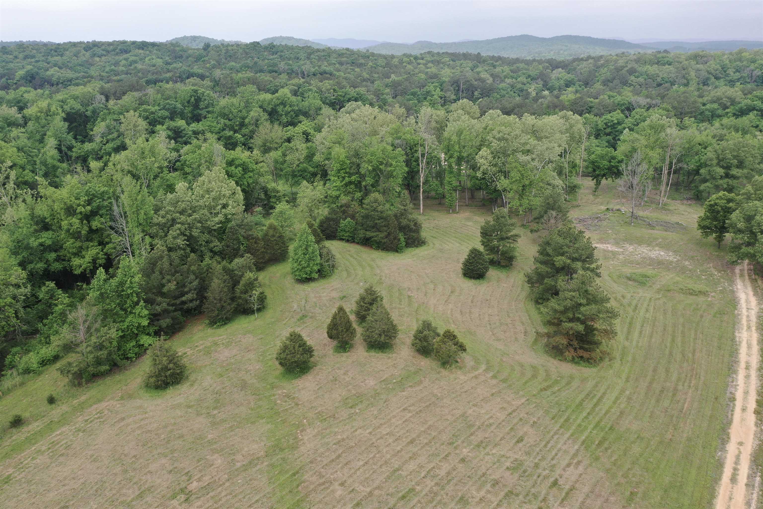 Photo 6 - Vacant Land for sale – Lot 7 & 8  Apple Tree Lane   Melbourne, AR