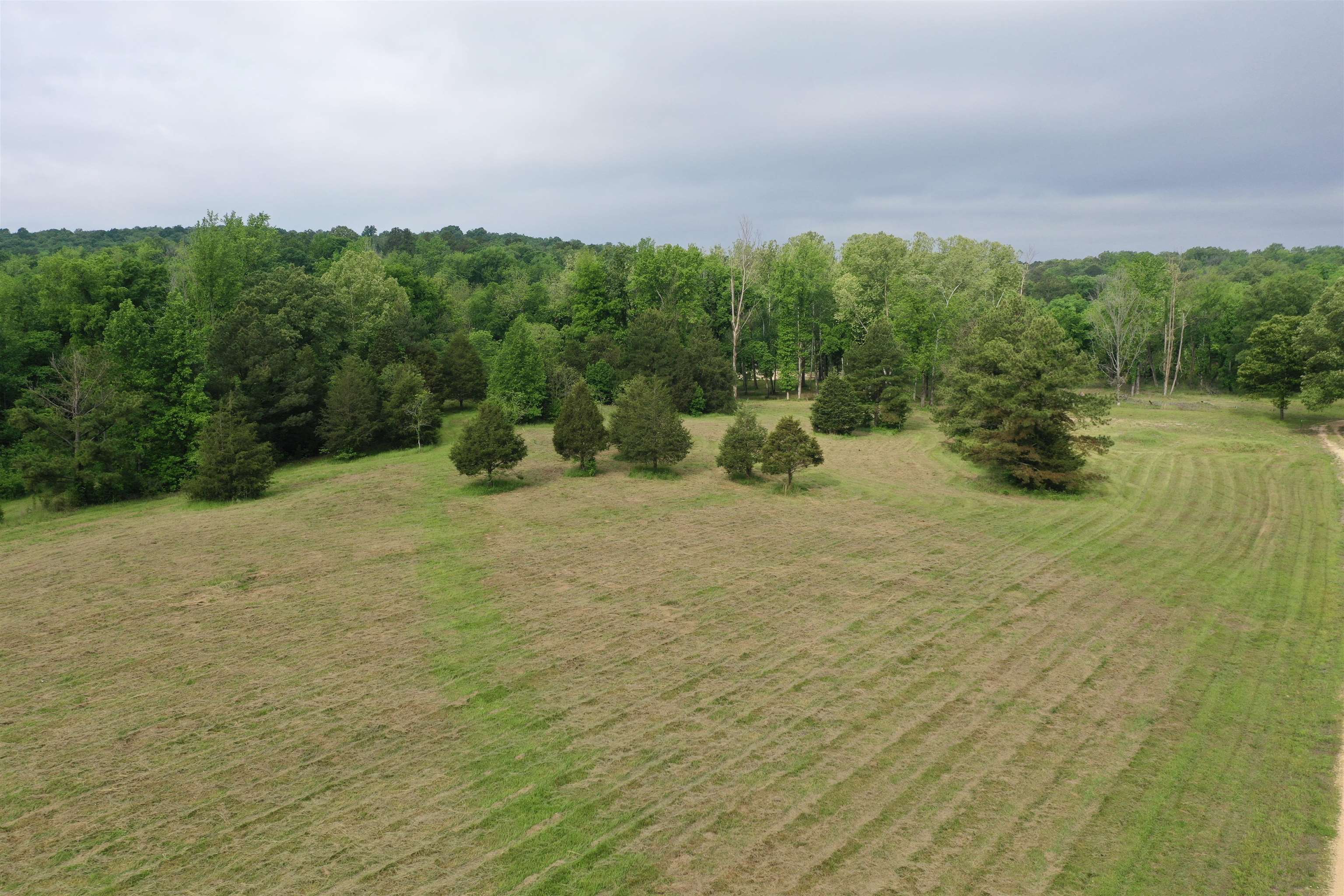 Photo 7 - Vacant Land for sale – Lot 7 & 8  Apple Tree Lane   Melbourne, AR