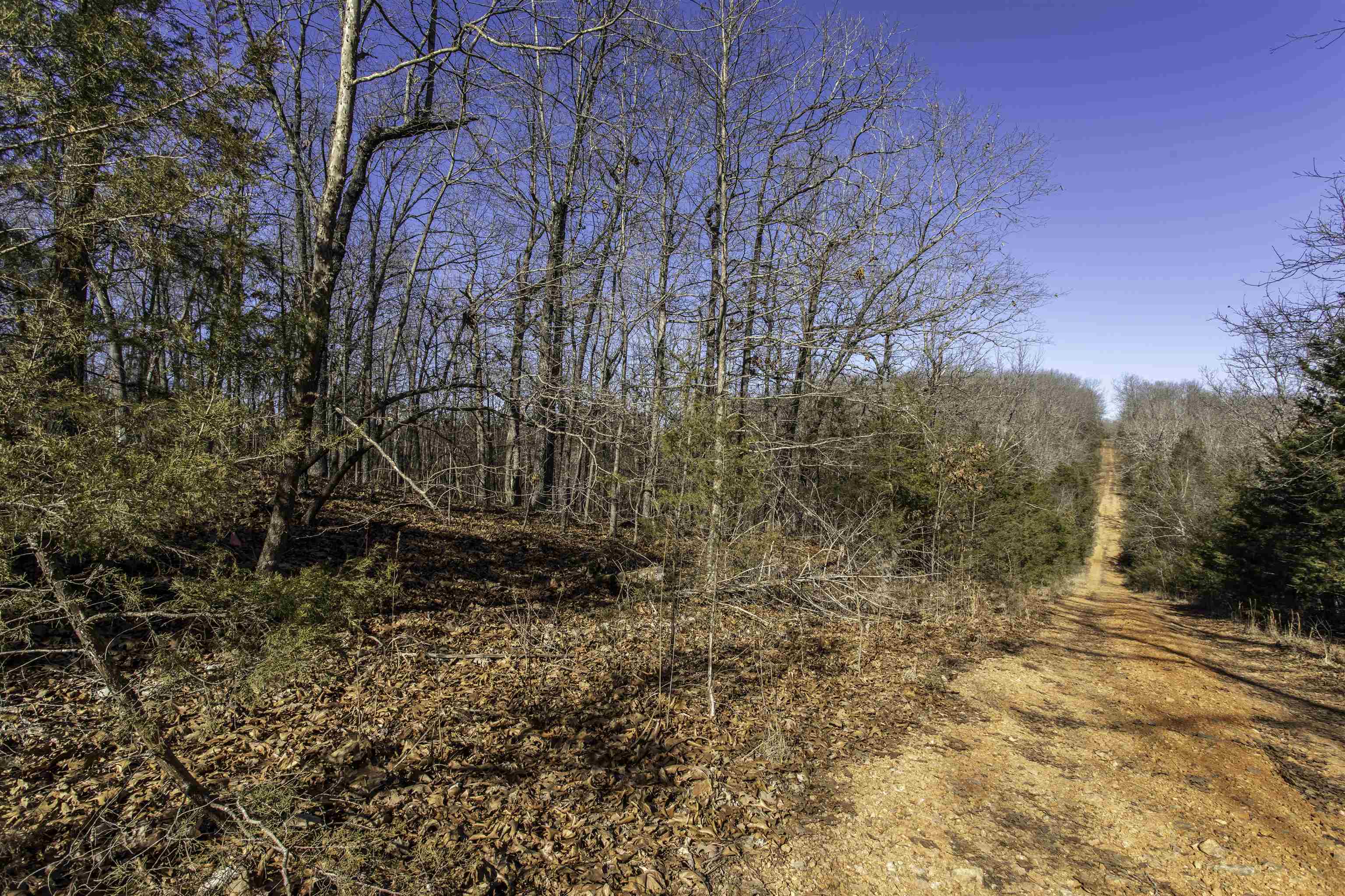 Vacant Land for sale – 000  Buck Ridge   Williford, AR