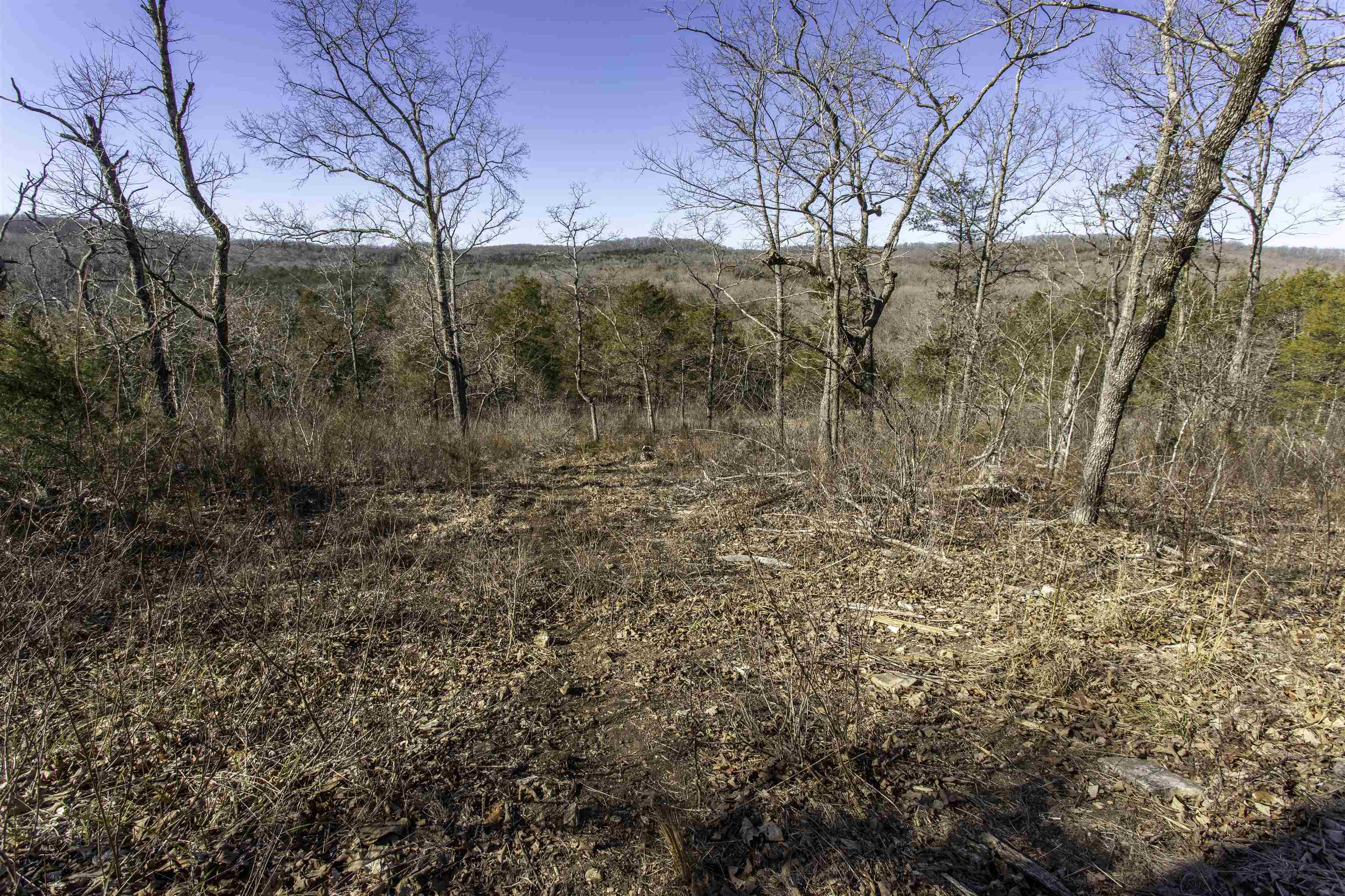 Photo 11 - Vacant Land for sale – 000  Buck Ridge   Williford, AR