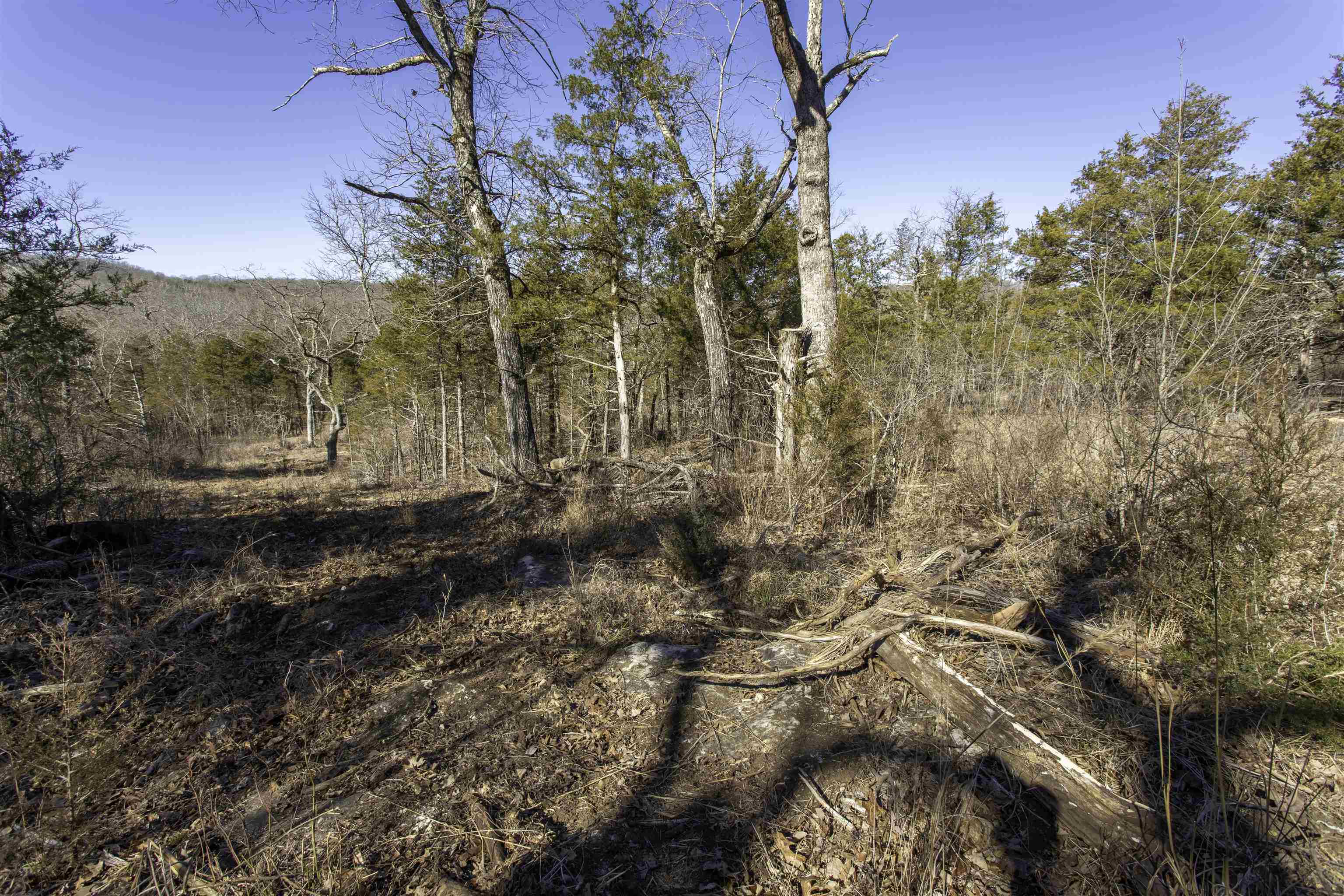Photo 12 - Vacant Land for sale – 000  Buck Ridge   Williford, AR