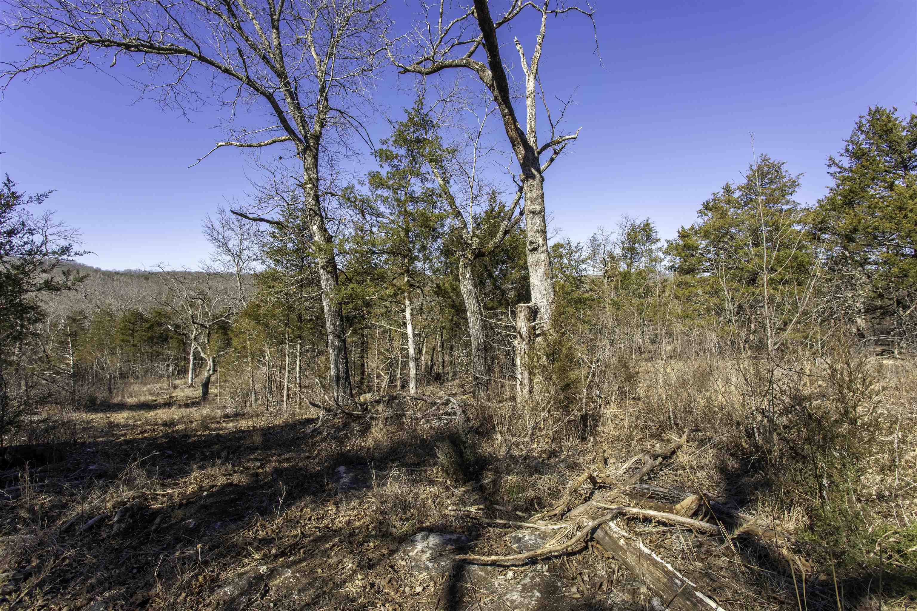 Photo 13 - Vacant Land for sale – 000  Buck Ridge   Williford, AR