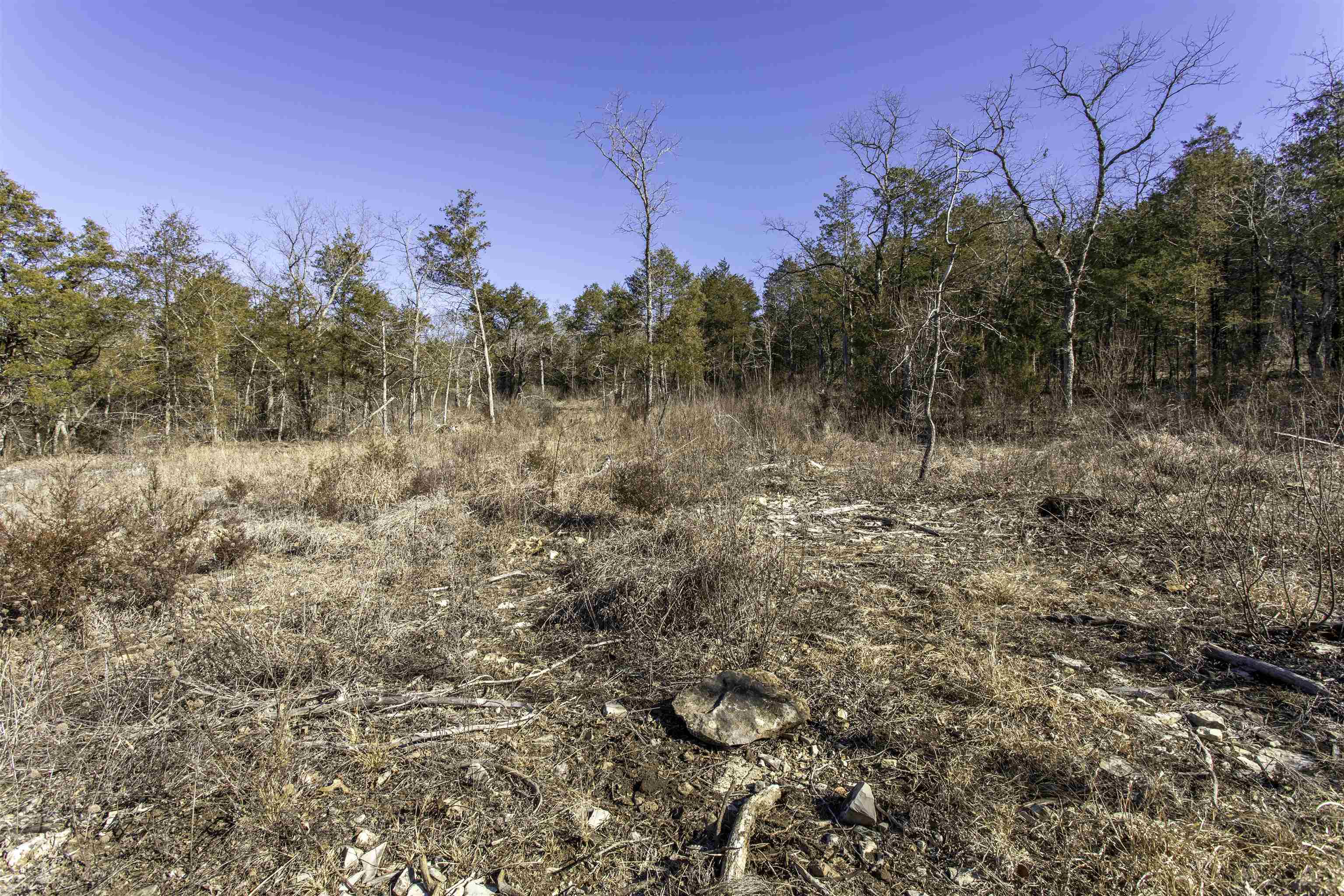 Photo 14 - Vacant Land for sale – 000  Buck Ridge   Williford, AR