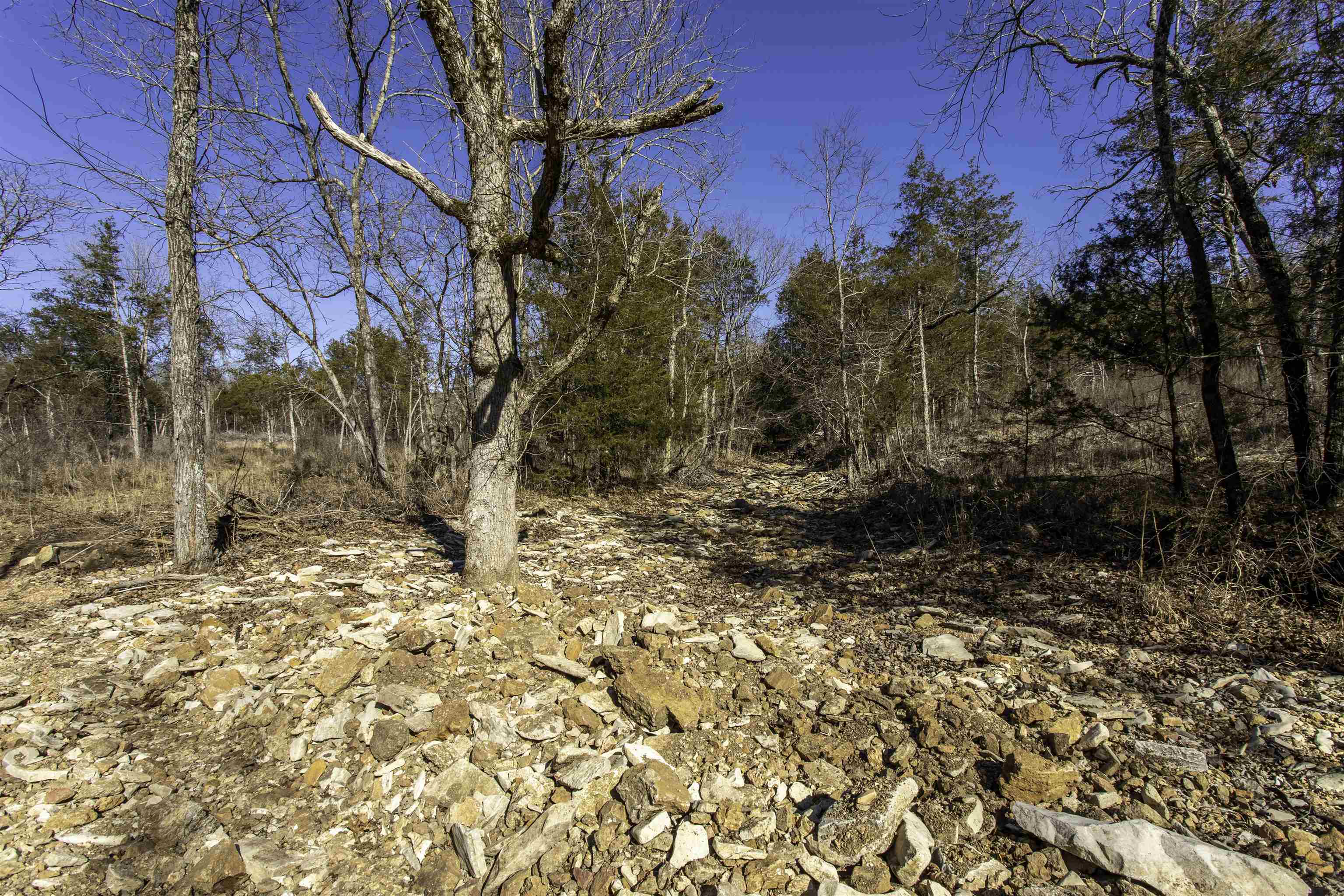 Photo 15 - Vacant Land for sale – 000  Buck Ridge   Williford, AR