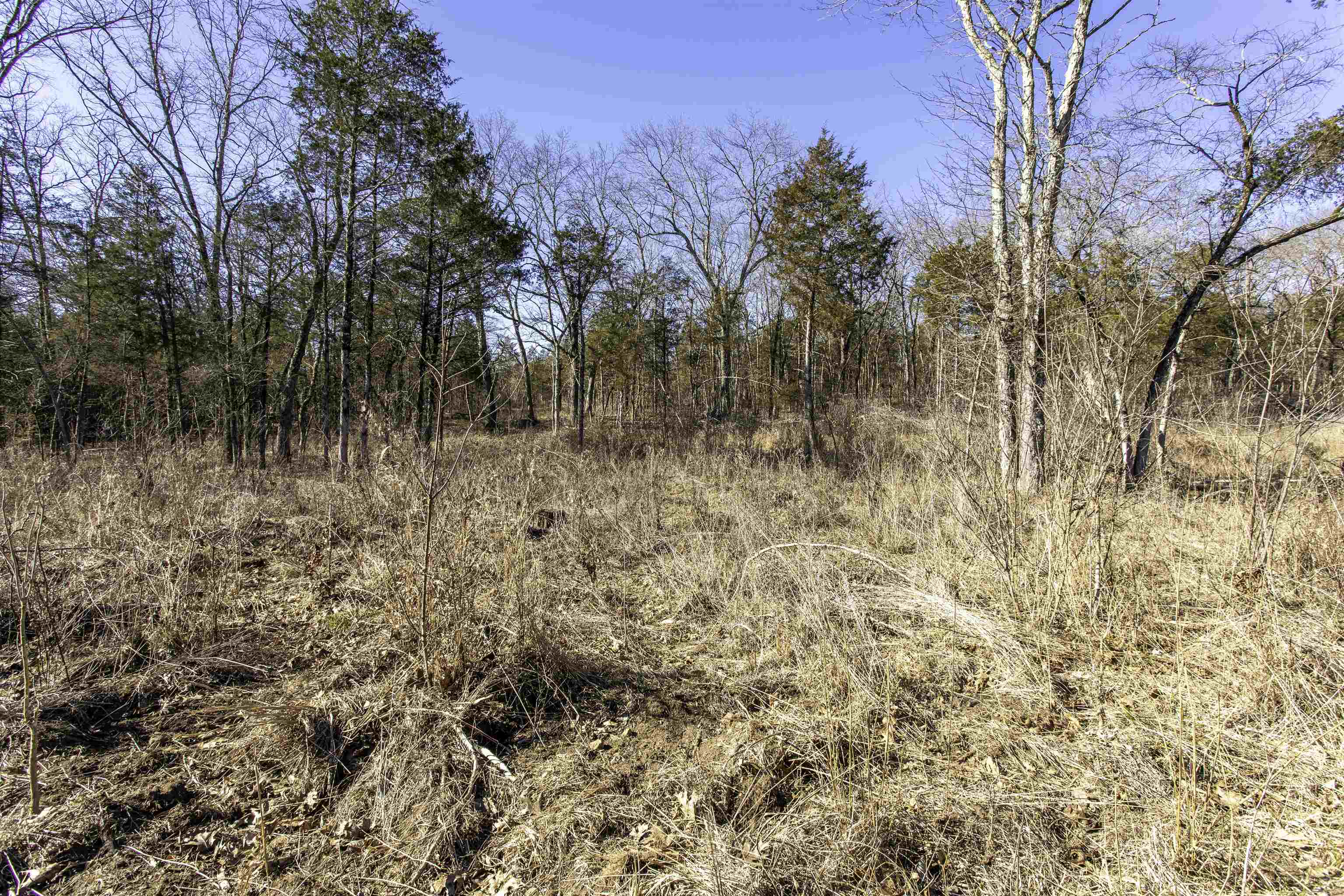Photo 16 - Vacant Land for sale – 000  Buck Ridge   Williford, AR