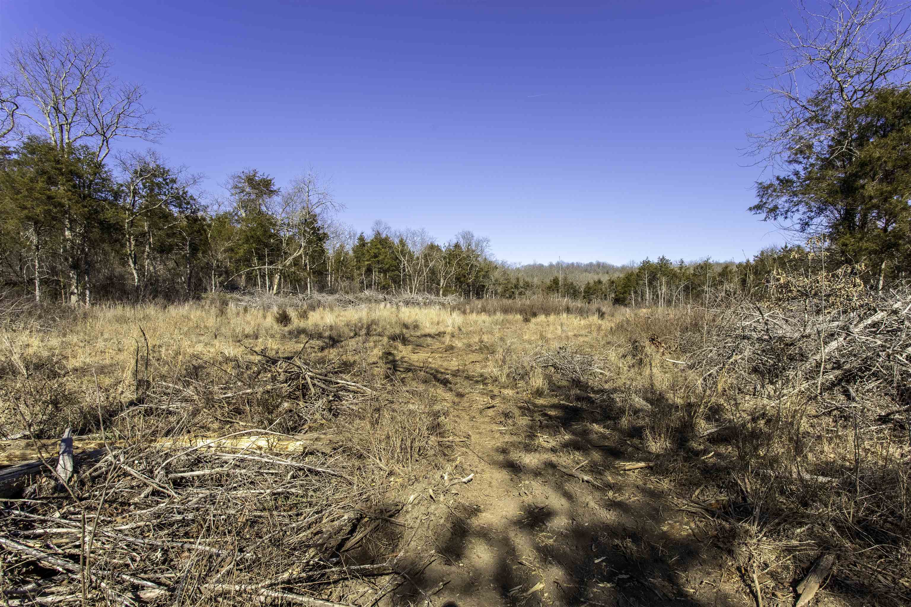 Photo 17 - Vacant Land for sale – 000  Buck Ridge   Williford, AR