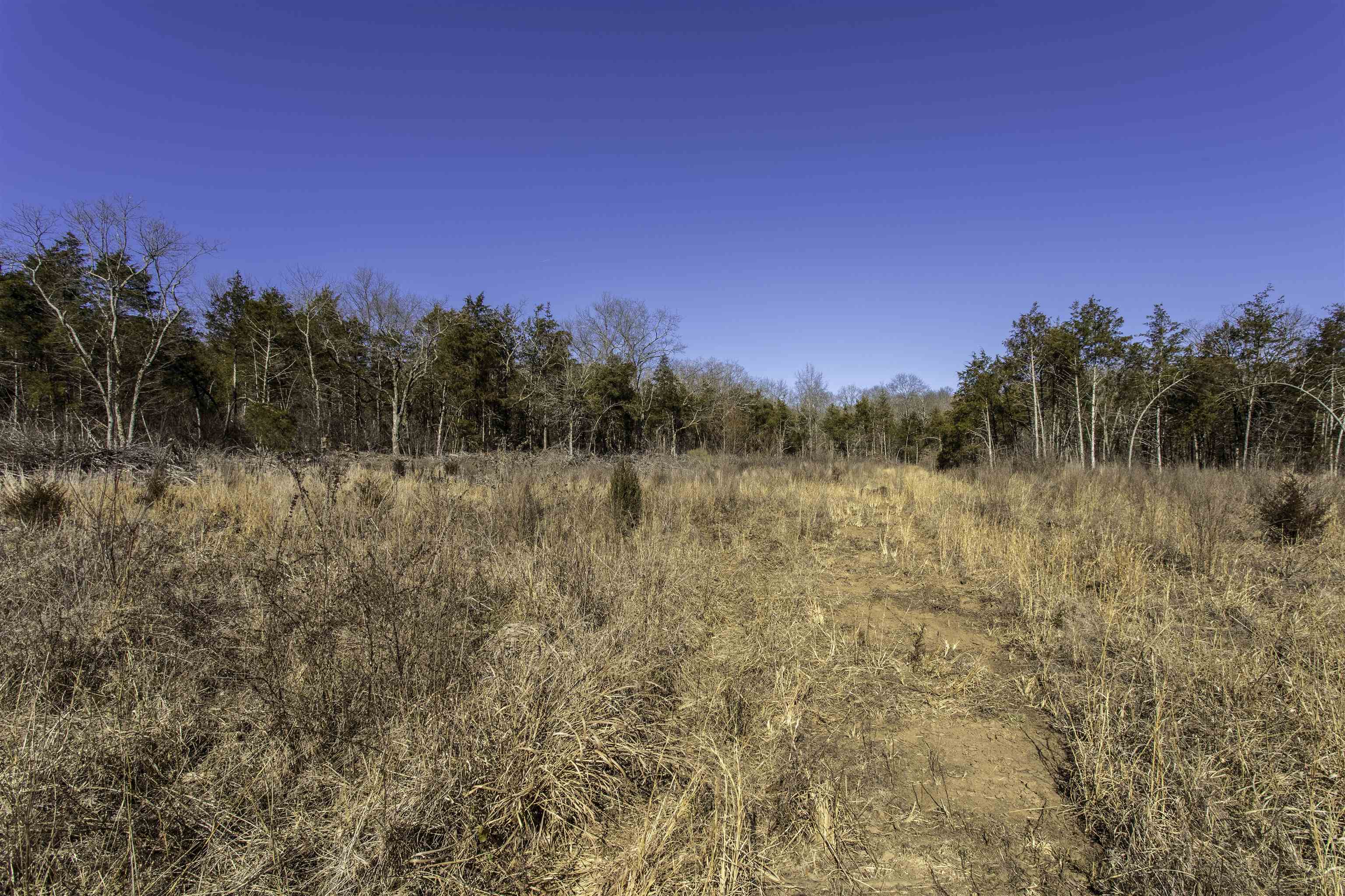 Photo 18 - Vacant Land for sale – 000  Buck Ridge   Williford, AR