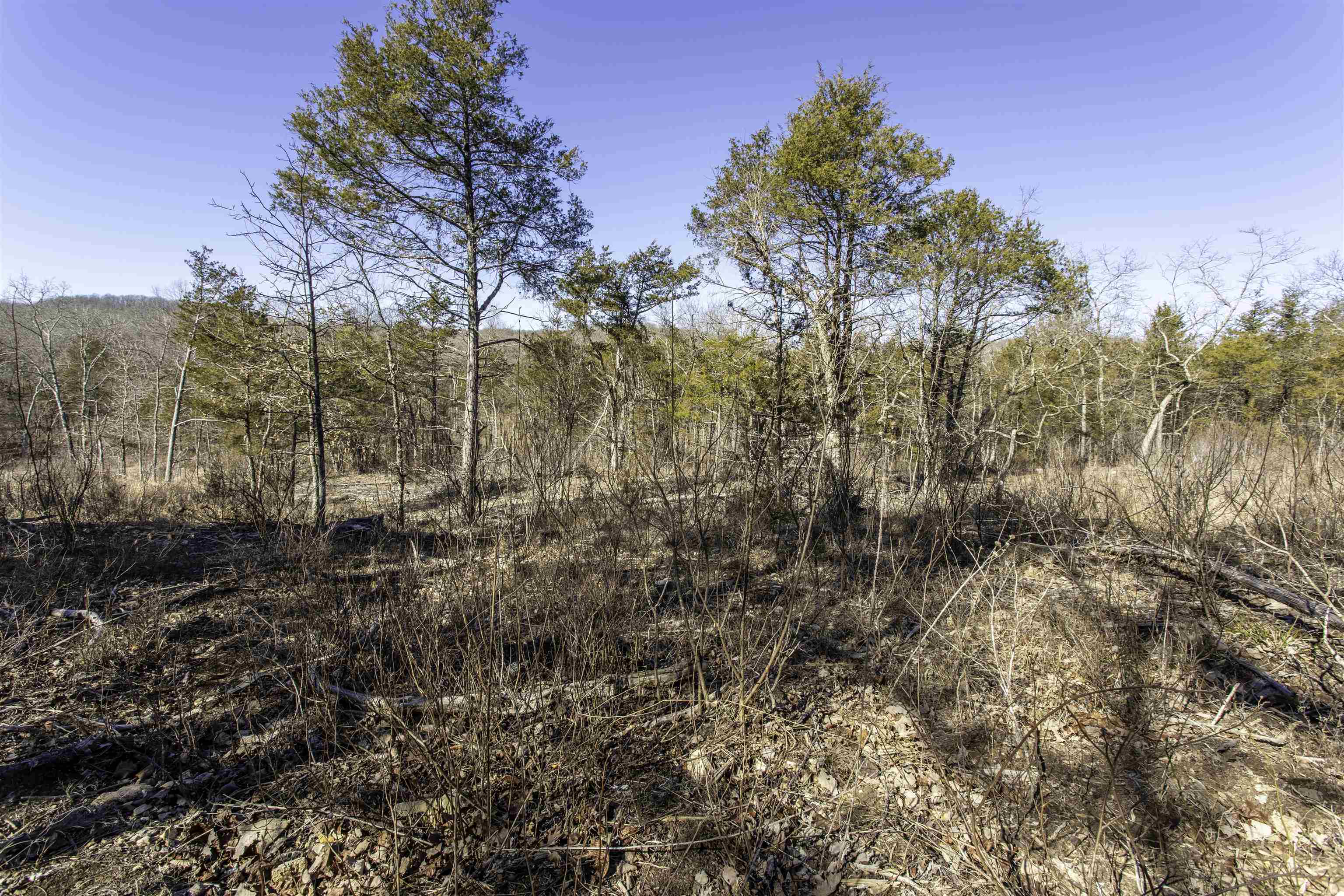 Photo 20 - Vacant Land for sale – 000  Buck Ridge   Williford, AR