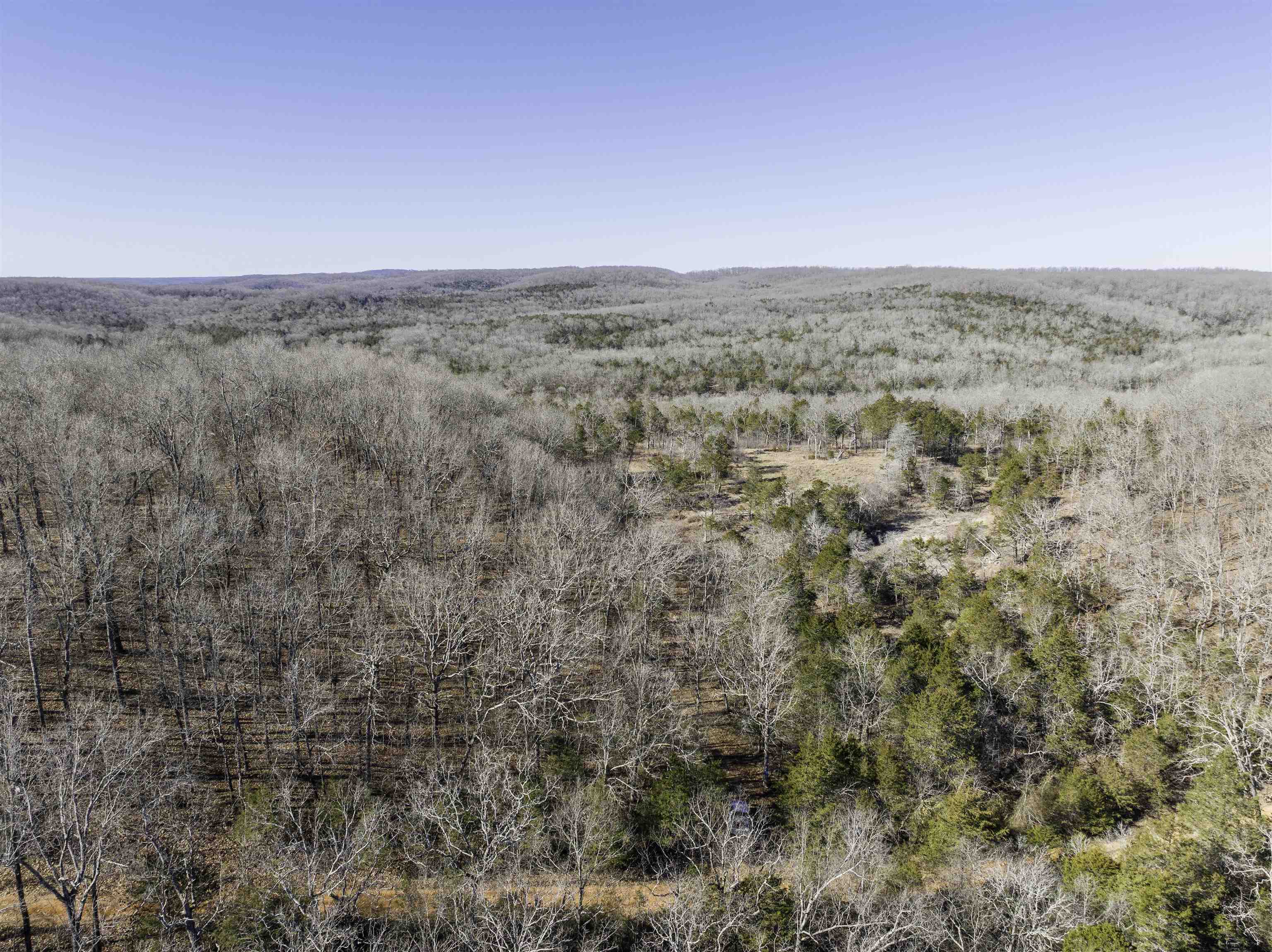 Photo 21 - Vacant Land for sale – 000  Buck Ridge   Williford, AR
