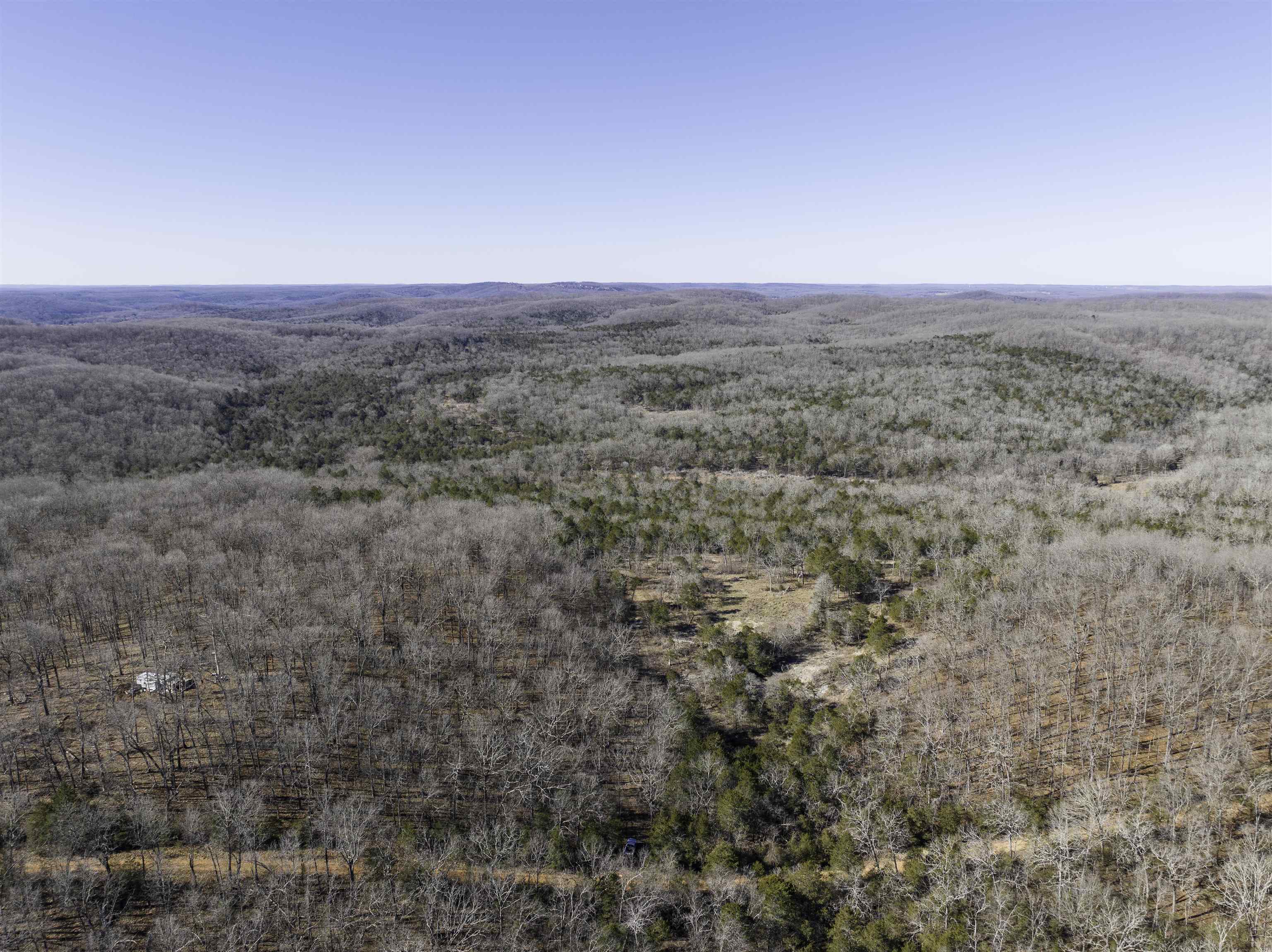 Photo 22 - Vacant Land for sale – 000  Buck Ridge   Williford, AR