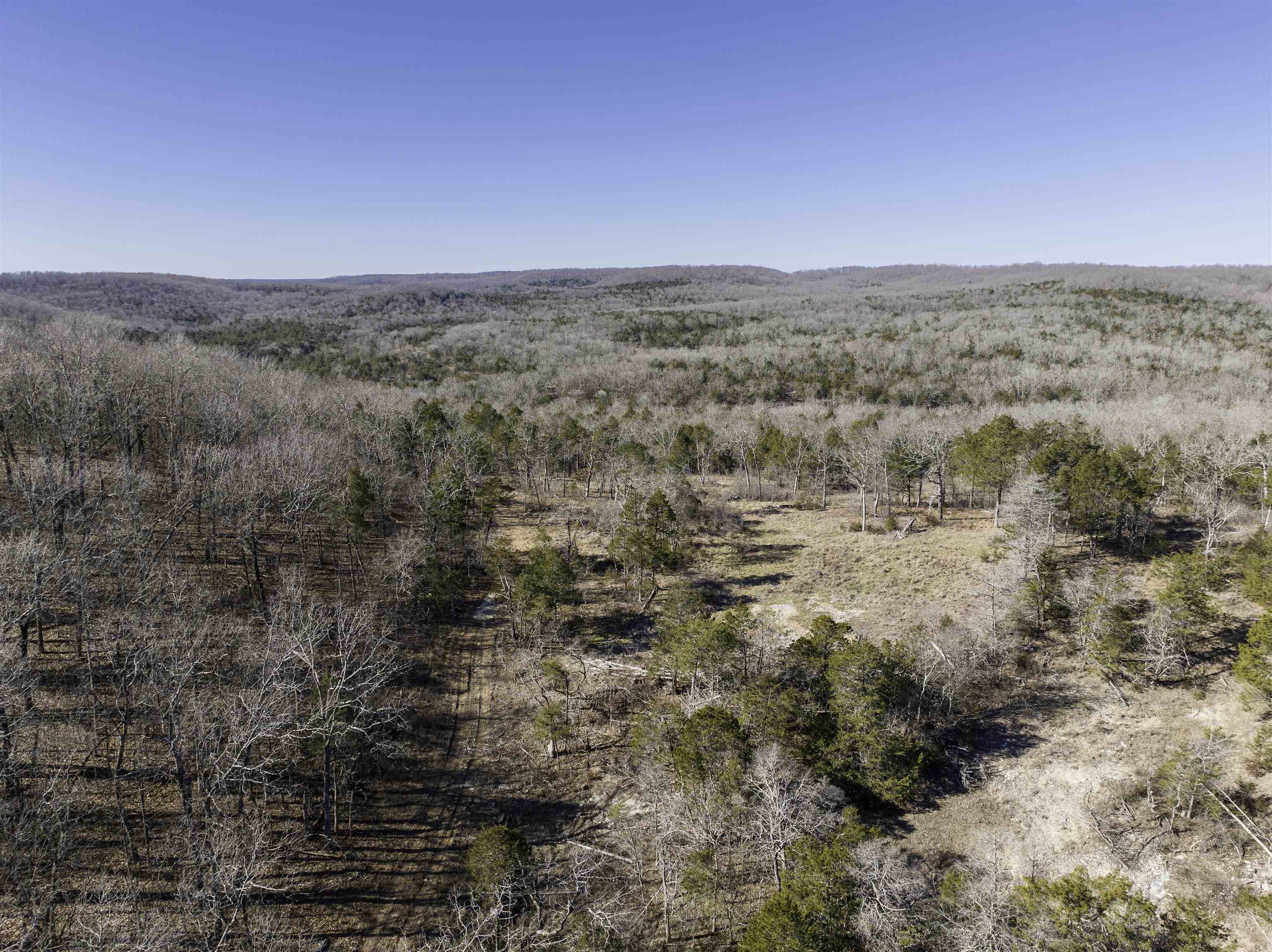 Photo 23 - Vacant Land for sale – 000  Buck Ridge   Williford, AR