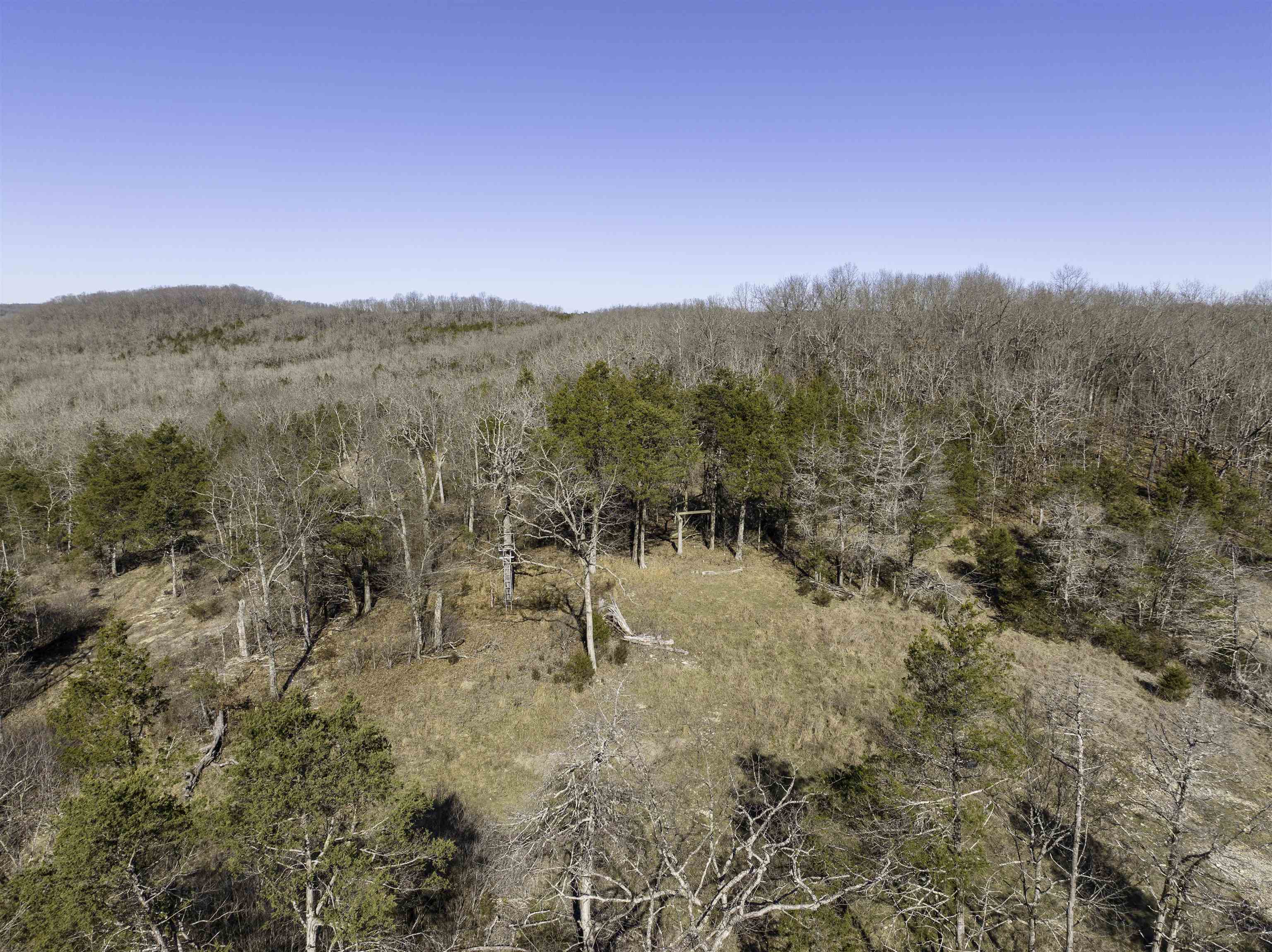Photo 25 - Vacant Land for sale – 000  Buck Ridge   Williford, AR