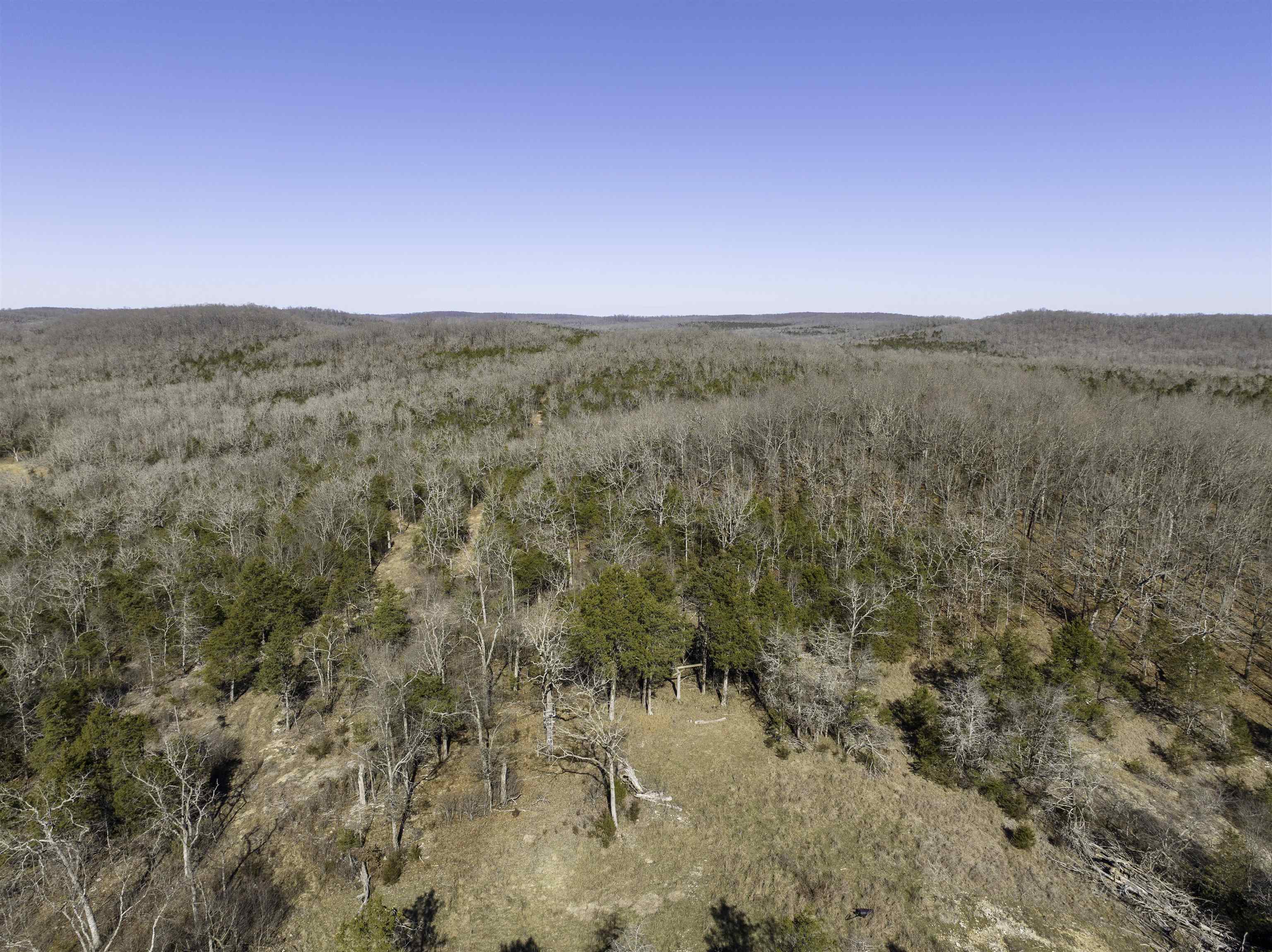 Photo 26 - Vacant Land for sale – 000  Buck Ridge   Williford, AR